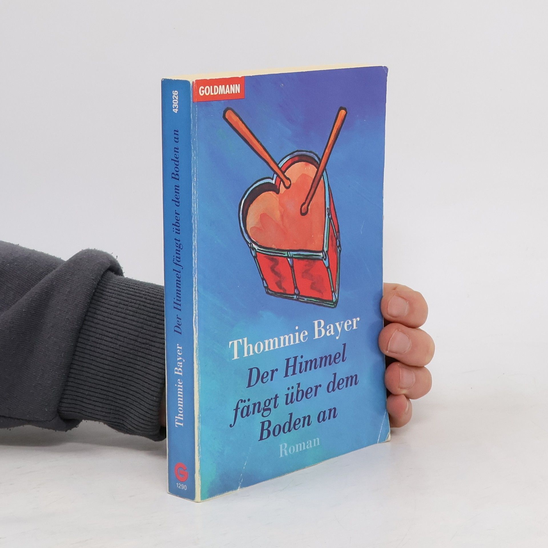 Thommie Bayer Der Himmel fängt über dem Boden an