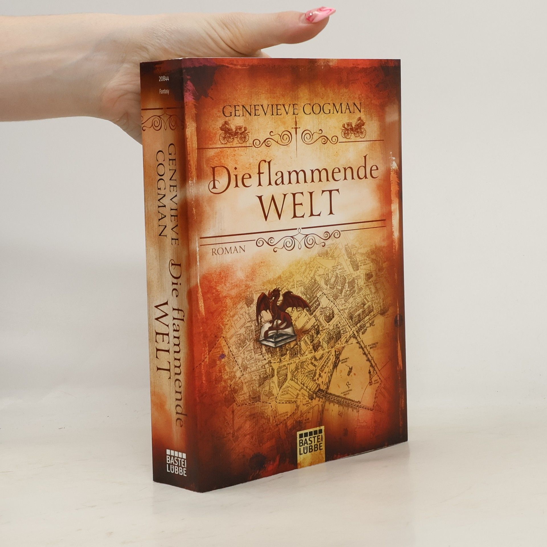 Genevieve Cogman Die flammende Welt