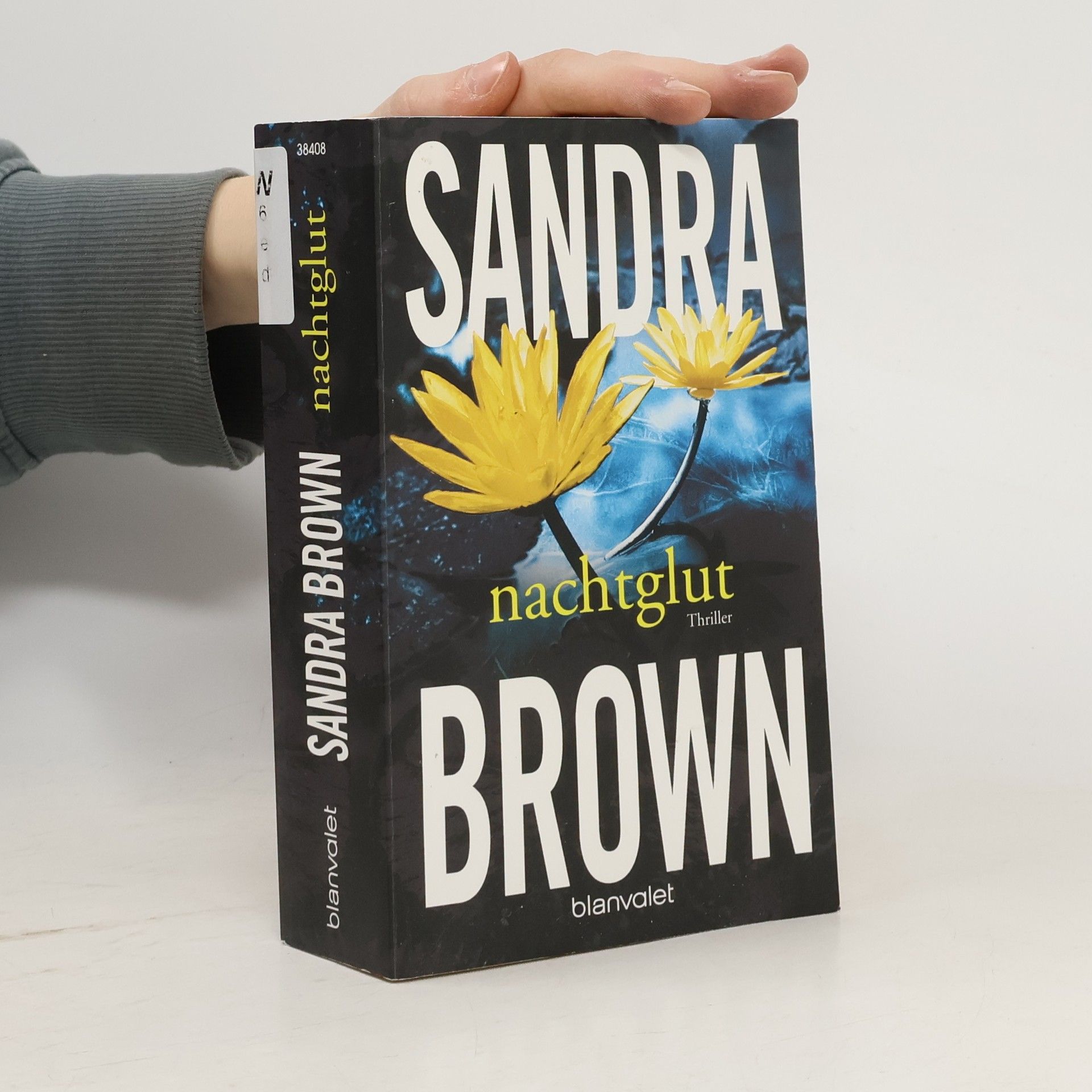 Sandra Brown Nachtglut