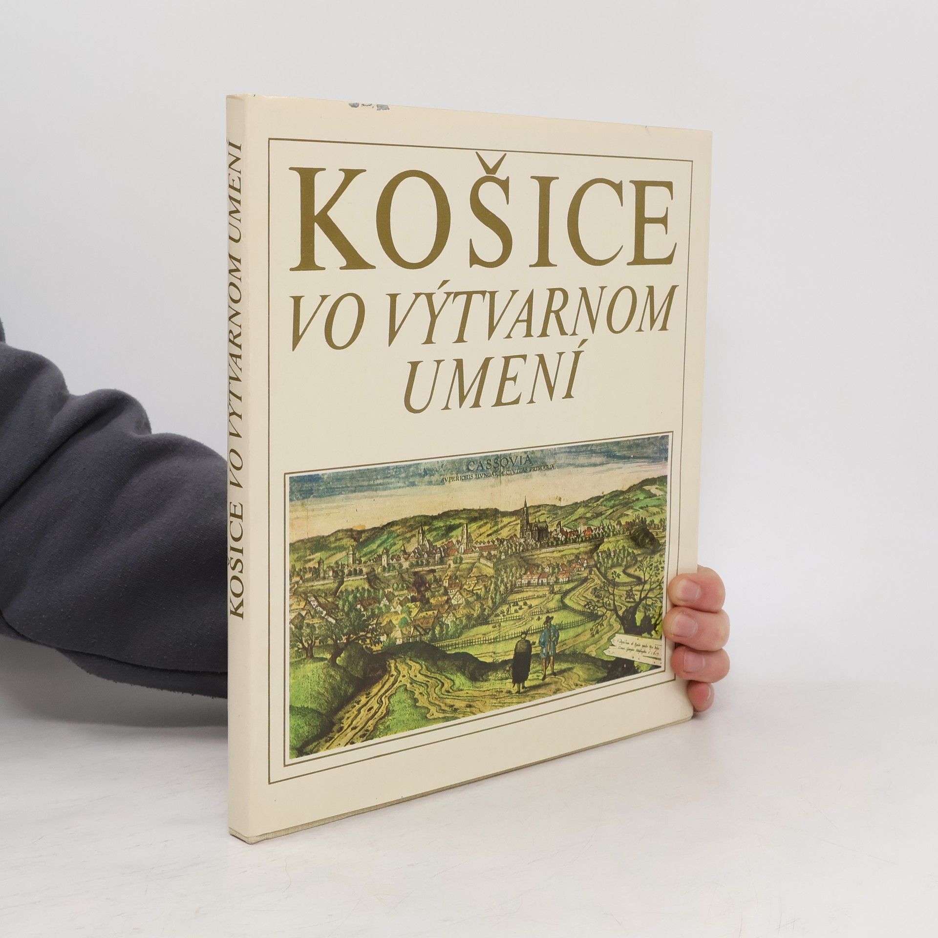 Košice ve výtvarnom umení