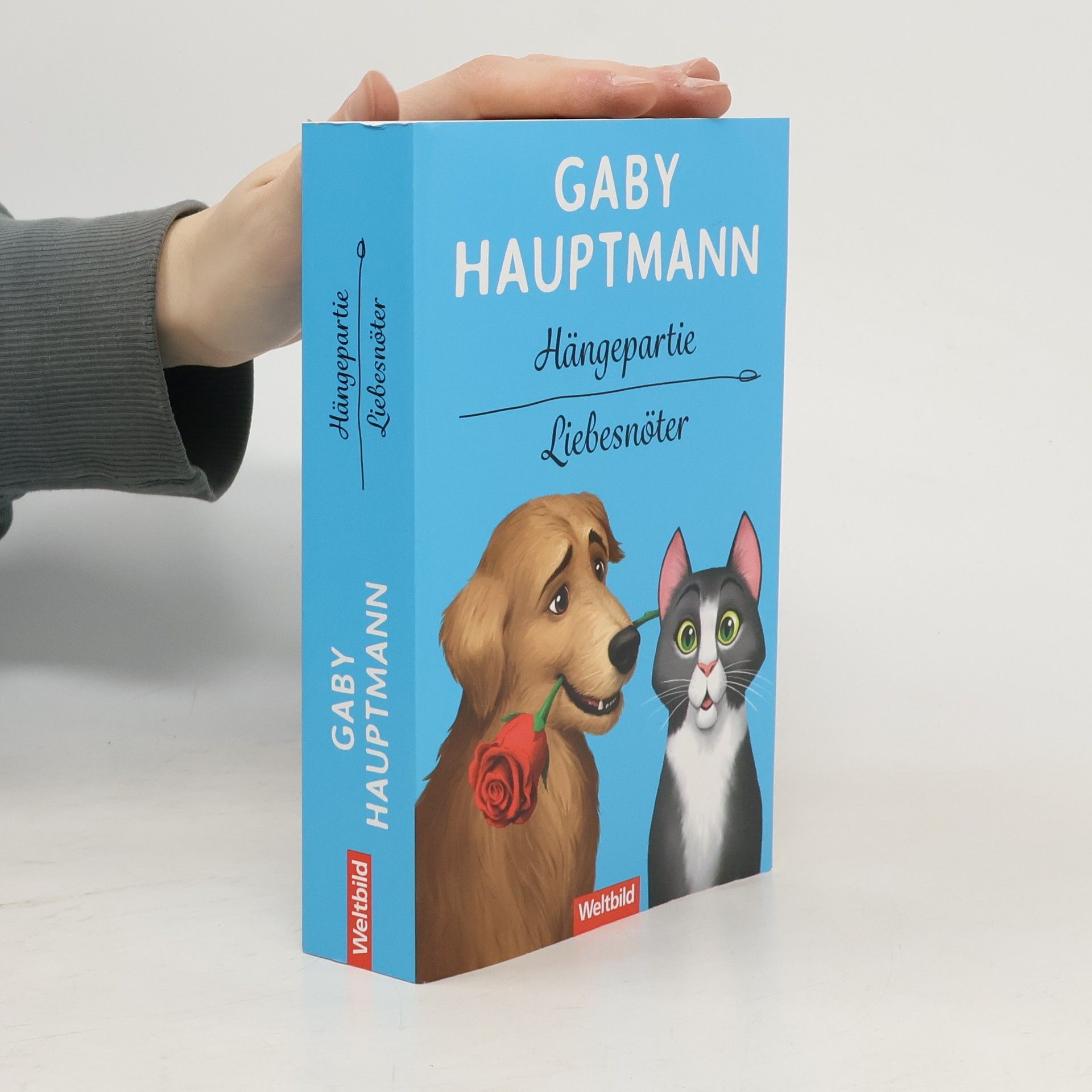 Gaby Hauptmann Hängepartie. Liebesnöter