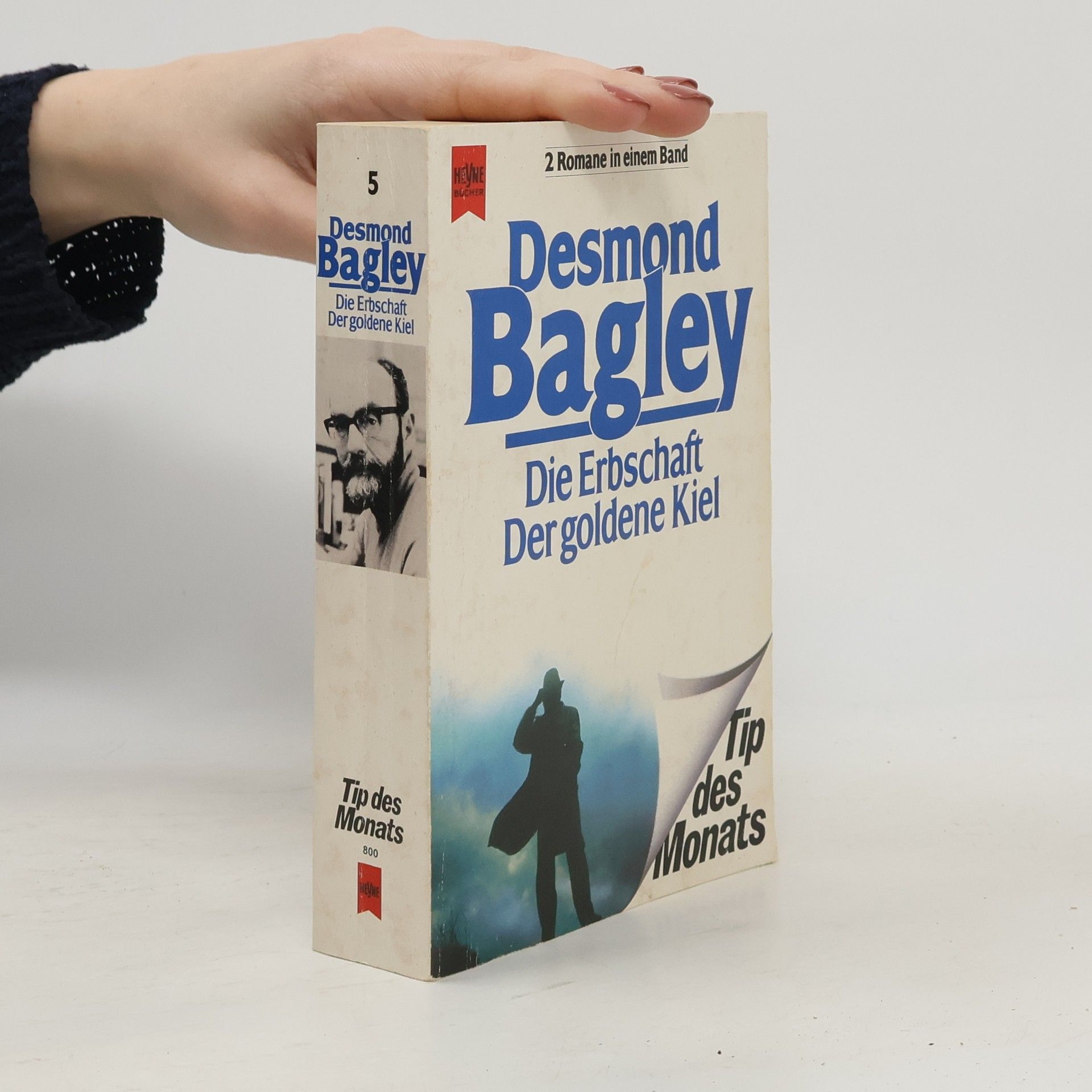 Desmond Bagley Die Erbschaft. Der goldene Kiel (2 Romane in einem Band)