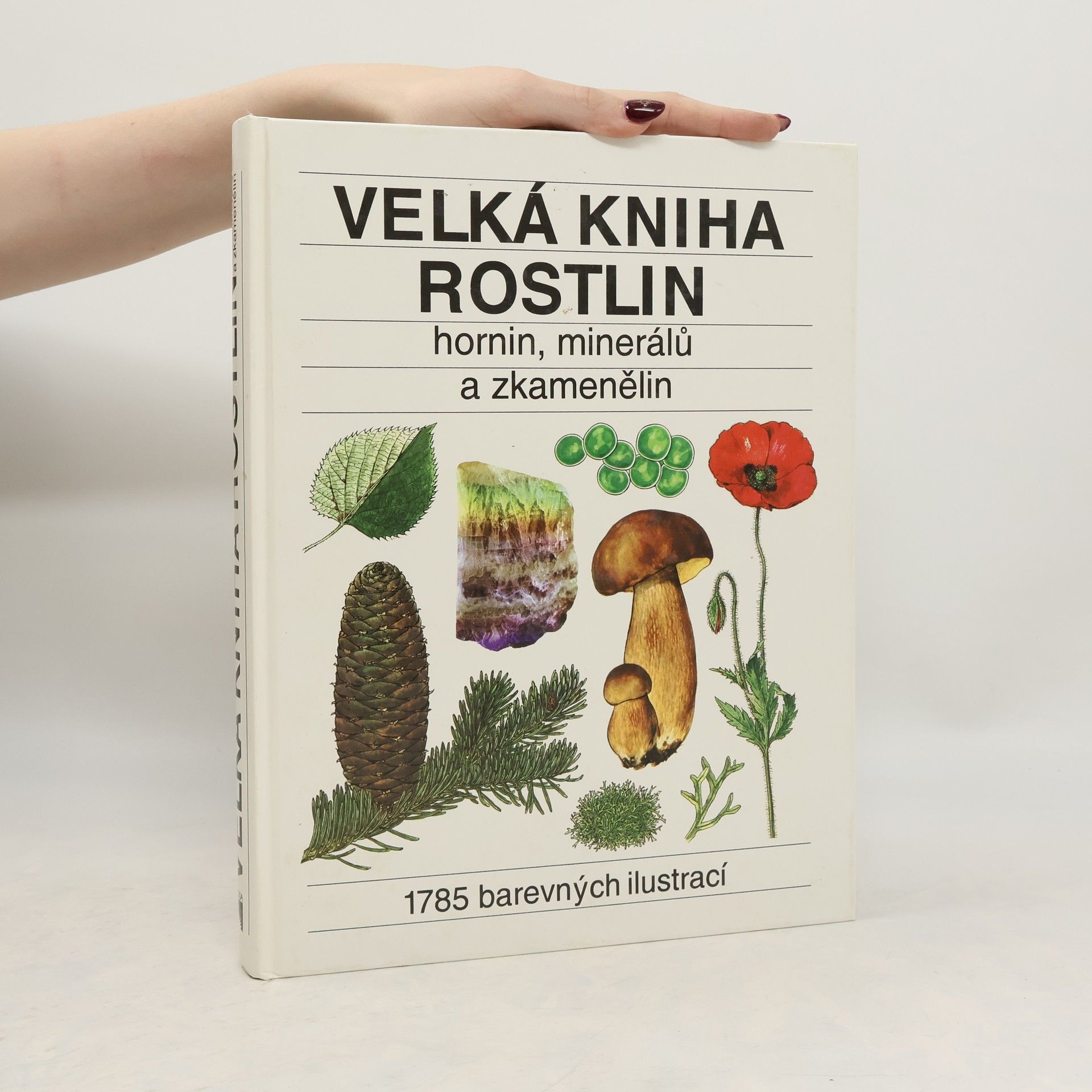 Jindřich Krejča Velká kniha rostlin, hornin, minerálů a zkamenělin