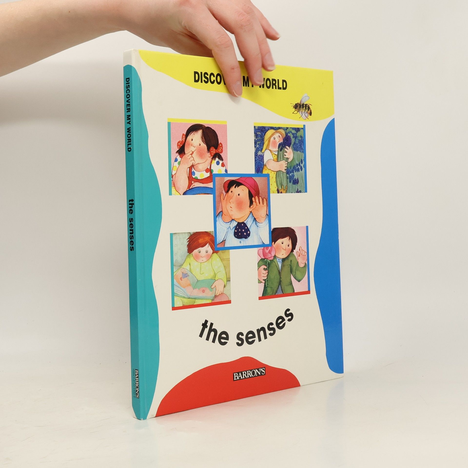 José María Parramón The Senses