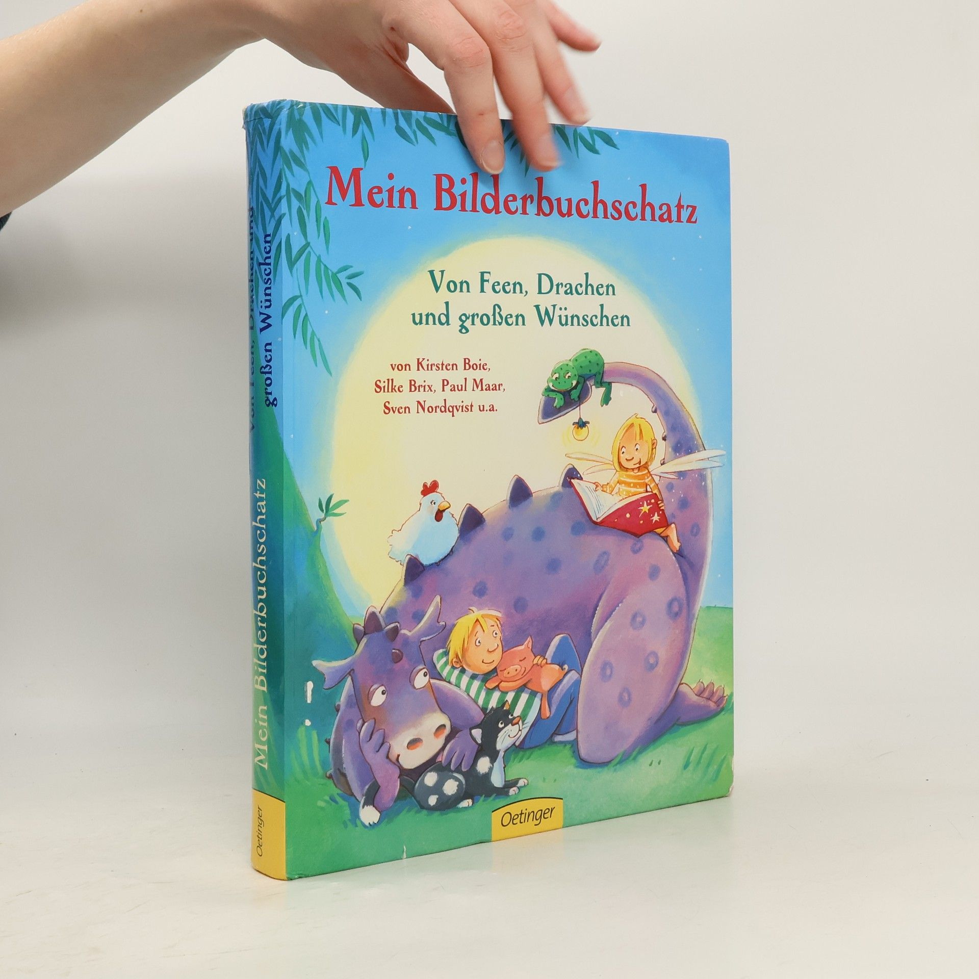 Kirsten Boie Mein Bilderbuchschatz - Von Feen, Drachen und Großen Wünschen