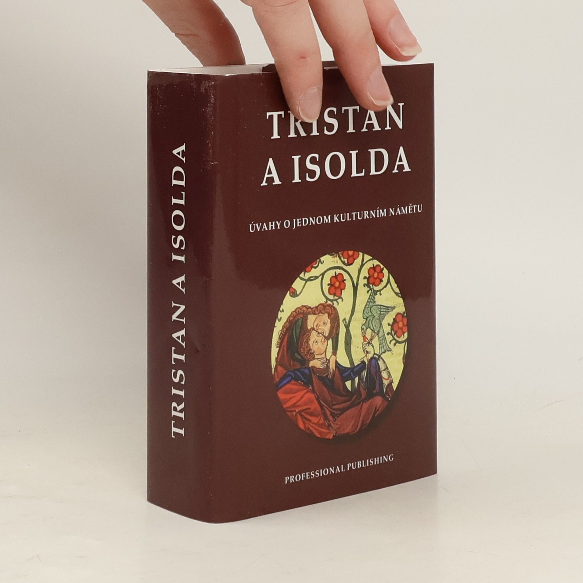Tristan a Isolda : úvahy o jednom kulturním námětu