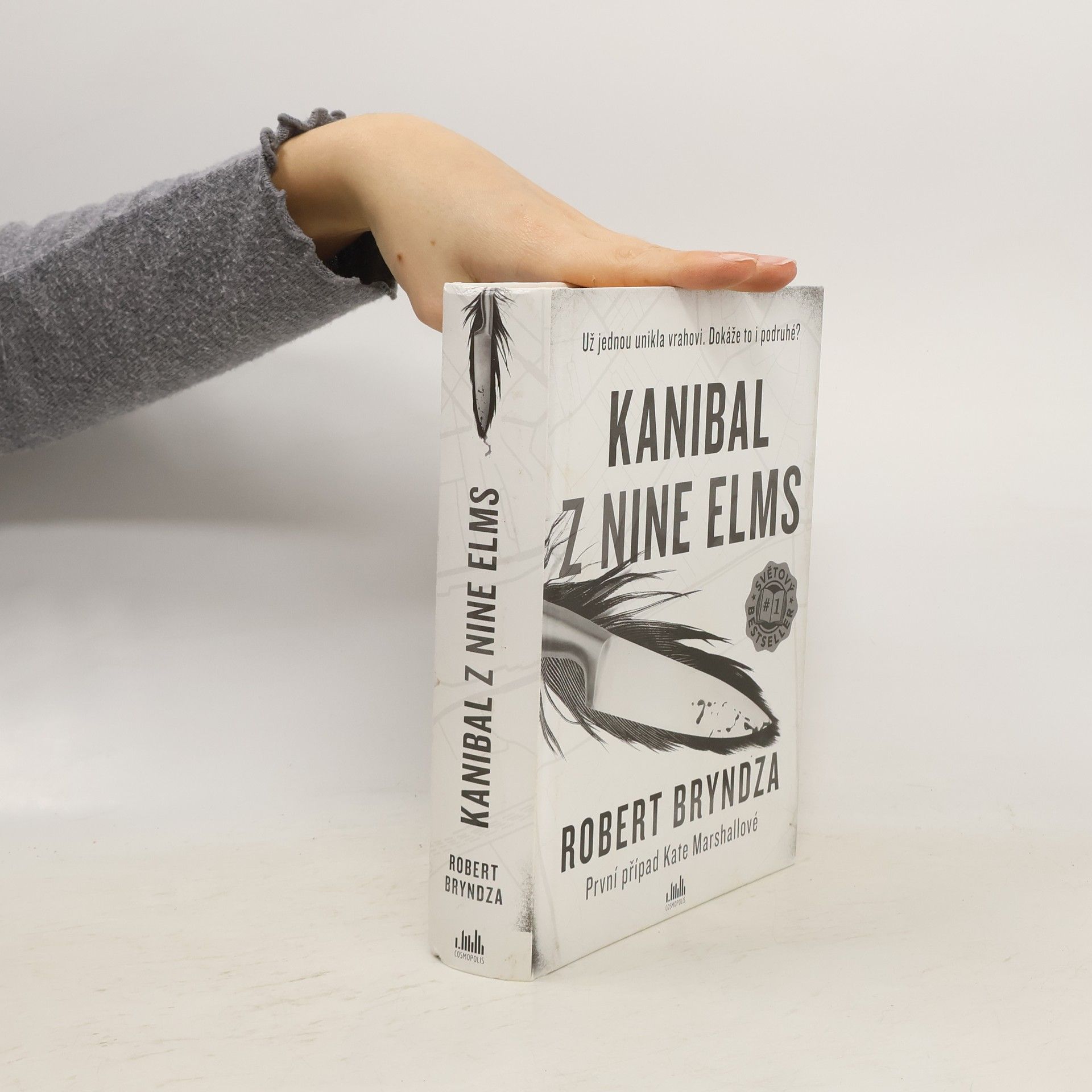 Robert Bryndza Kanibal z Nine Elms