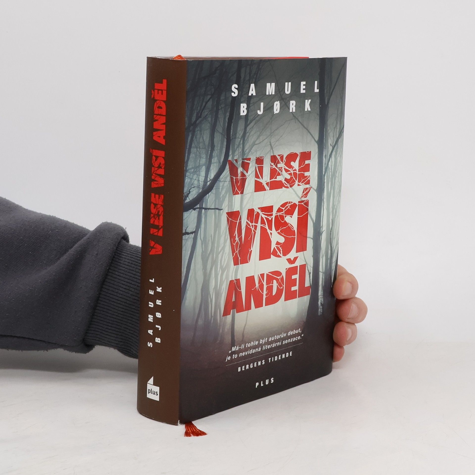 Samuel Bjork V lese visí anděl