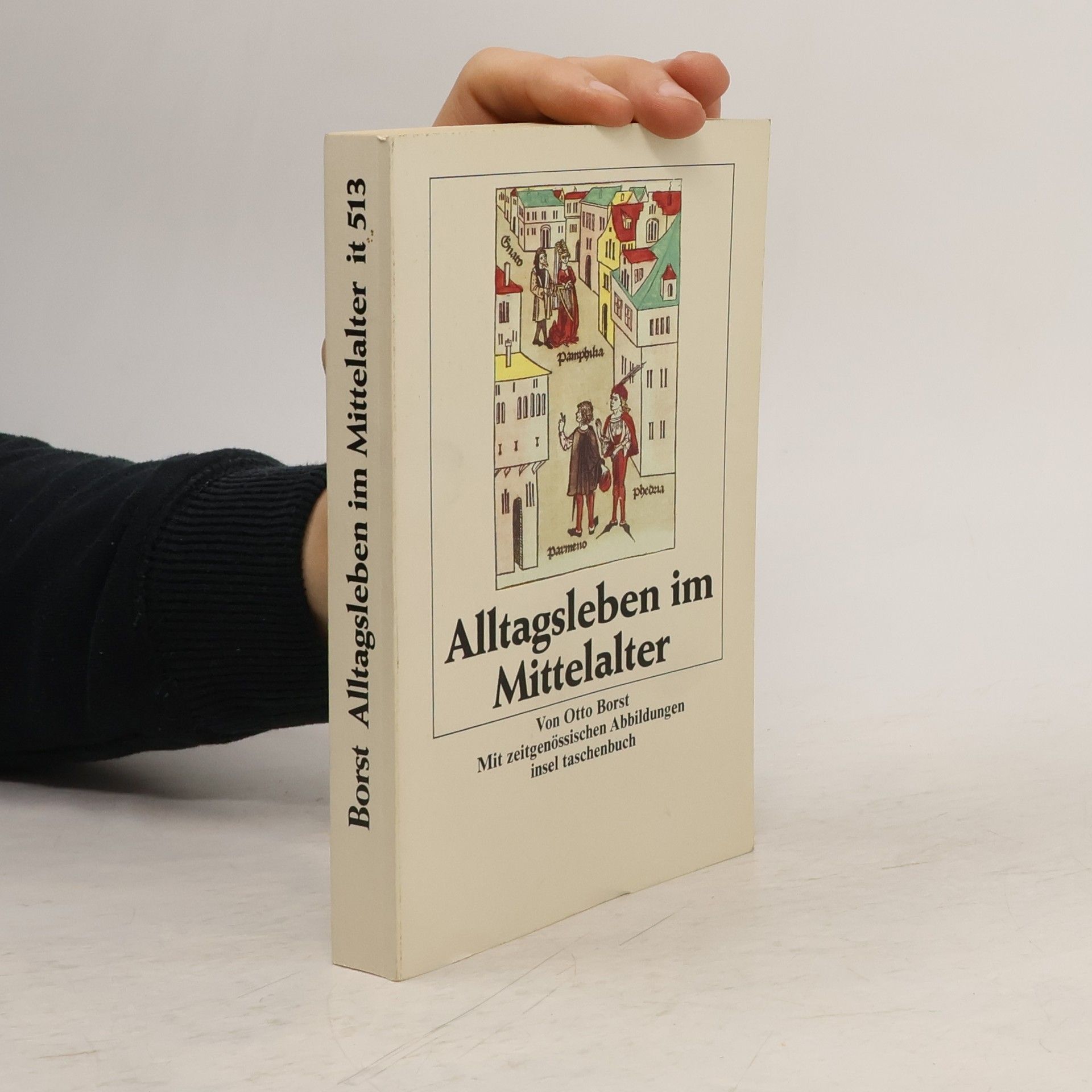 Otto Borst Alltagsleben im Mittelalter