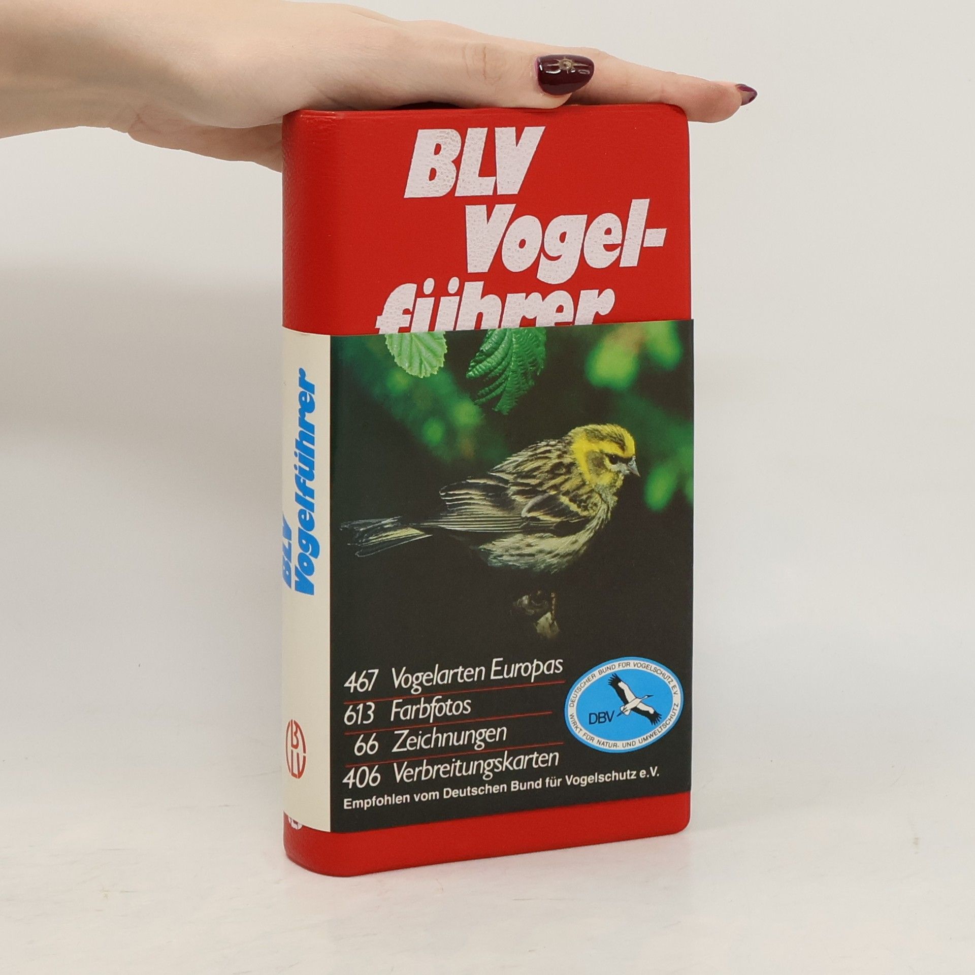 Keith Stuart BLV-Vogelführer