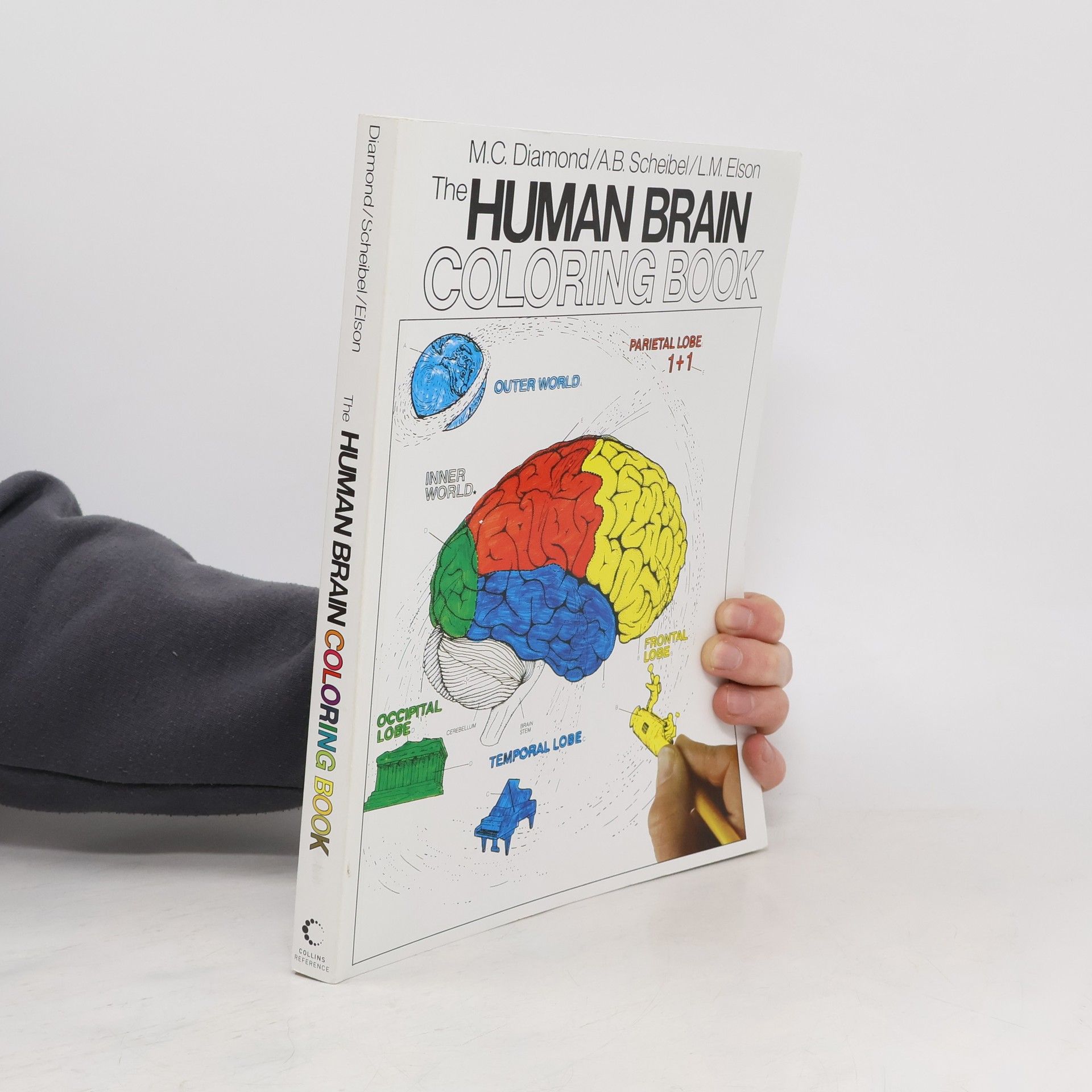 Marian C. Diamond The Human Brain Coloring Book
