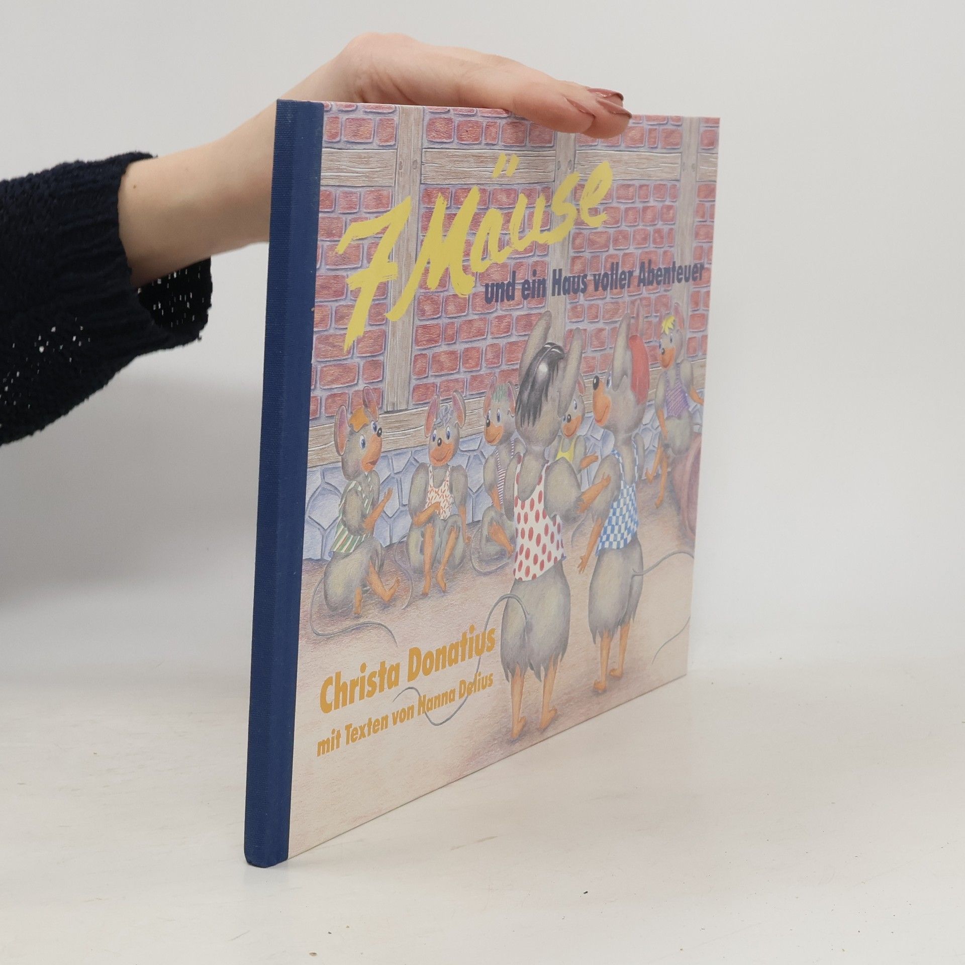 Hanna Delius 7 Mäuse und ein Haus voller Abenteuer