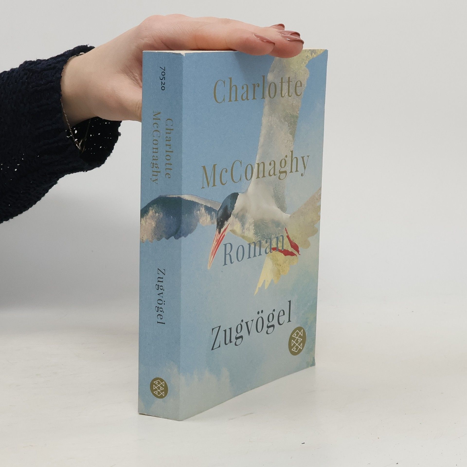 CHARLOTTE. MCCONAGHY Zugvögel