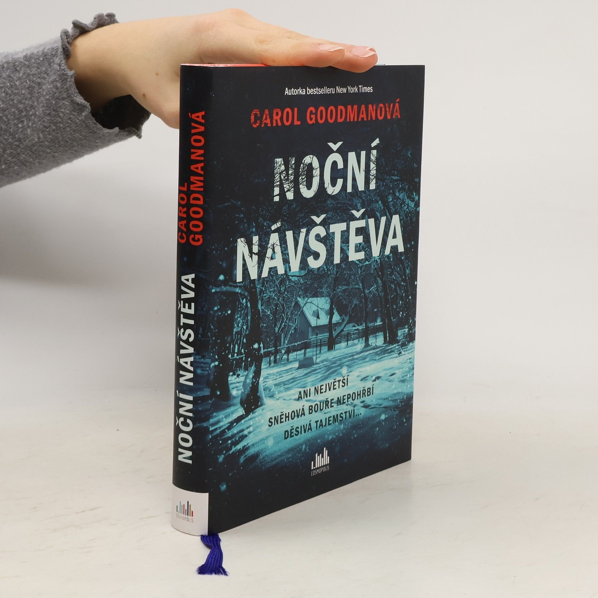 Lee Carroll Noční návštěva