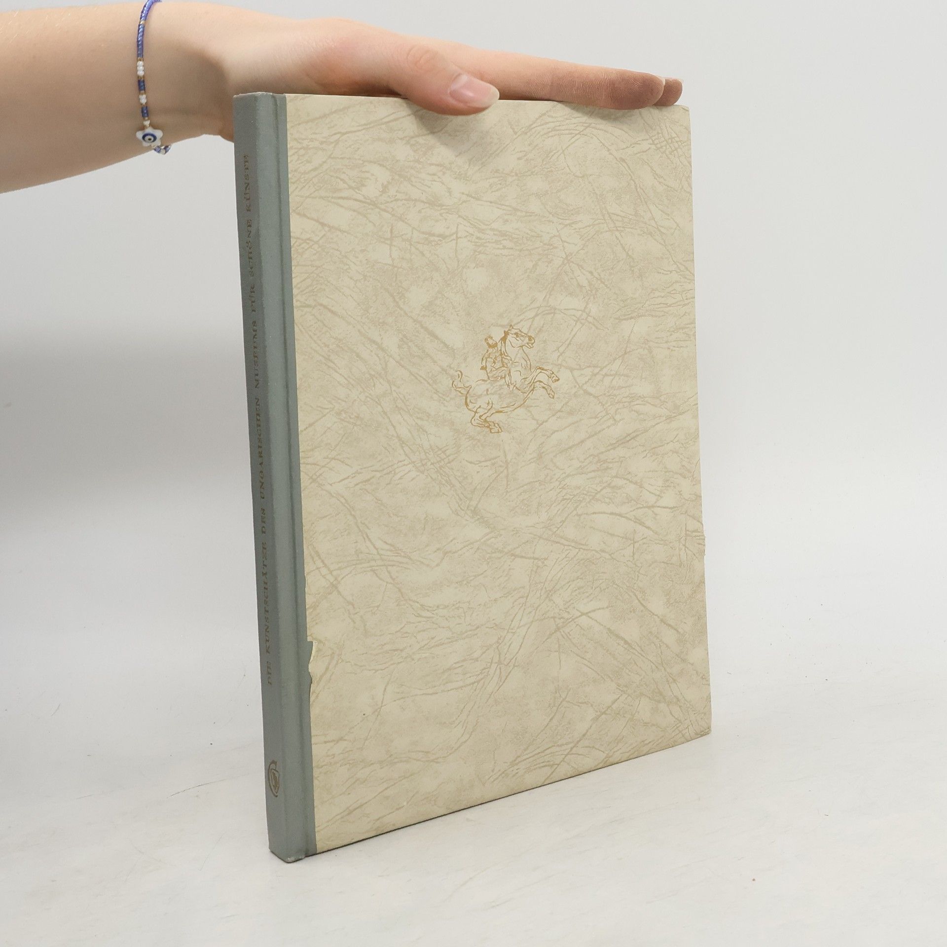 Kolektív autorov Die Kunstschätze das ungarischen Museums für Schöne Künste