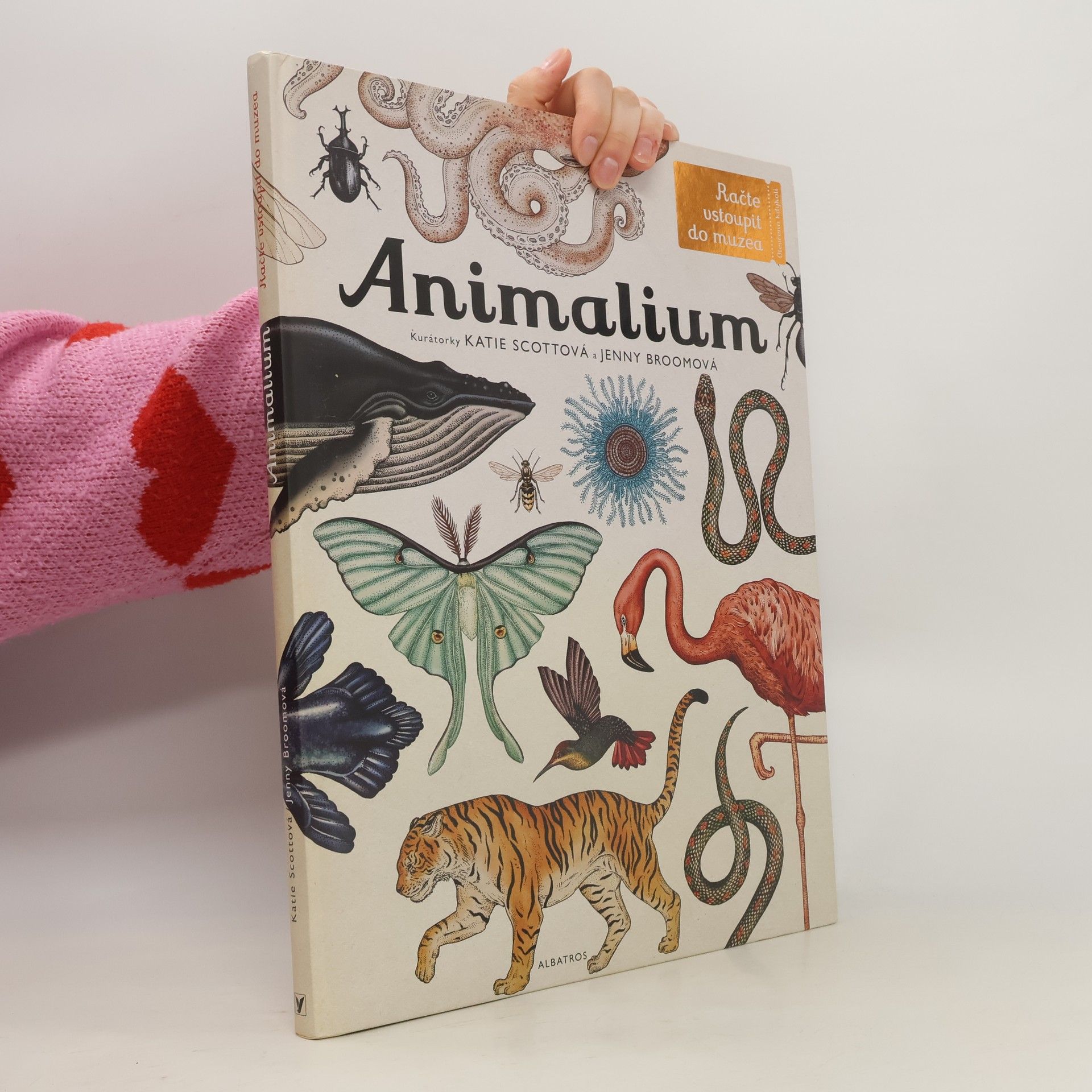 Animalium
