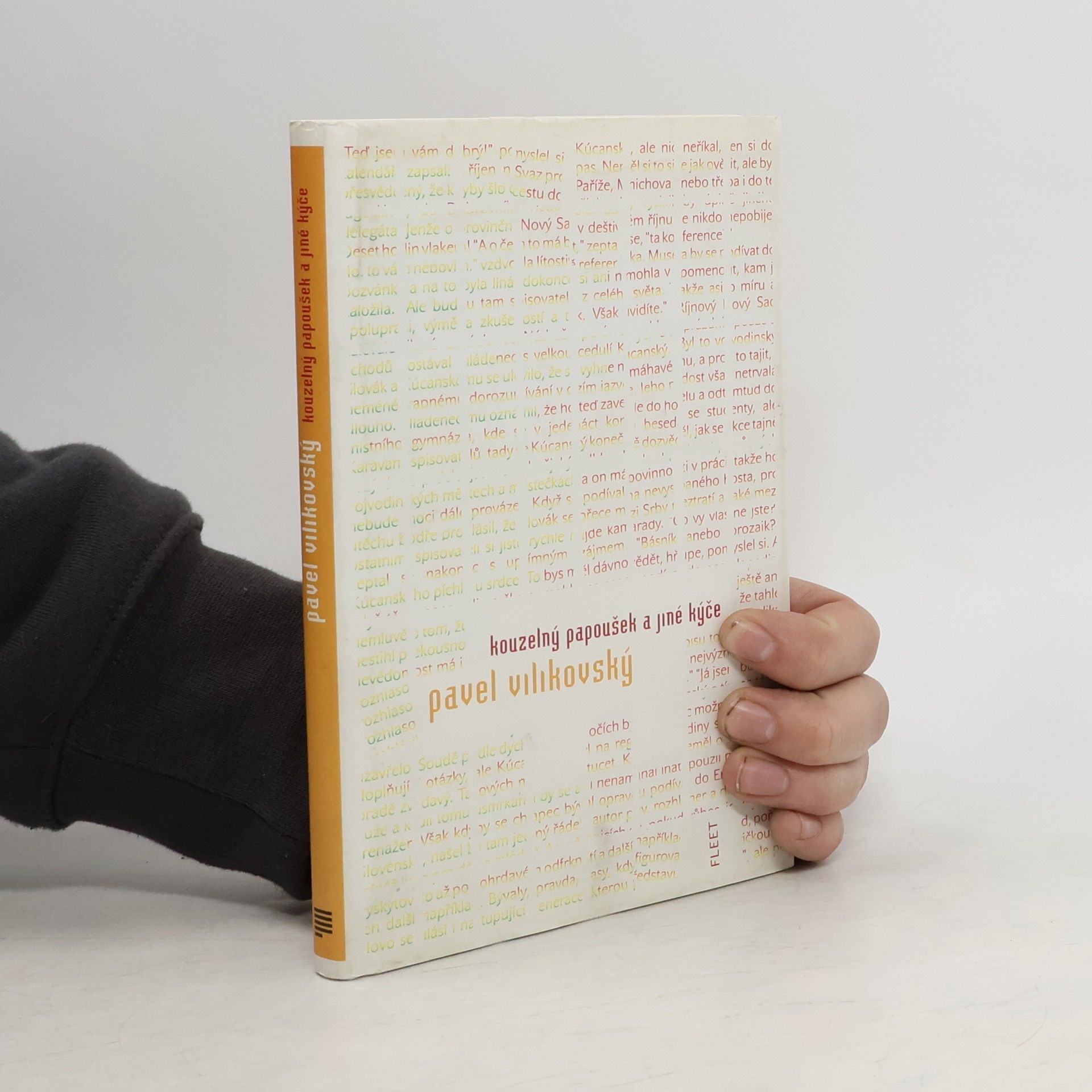 Pavel Vilikovský Kouzelný papoušek a jiné kýče