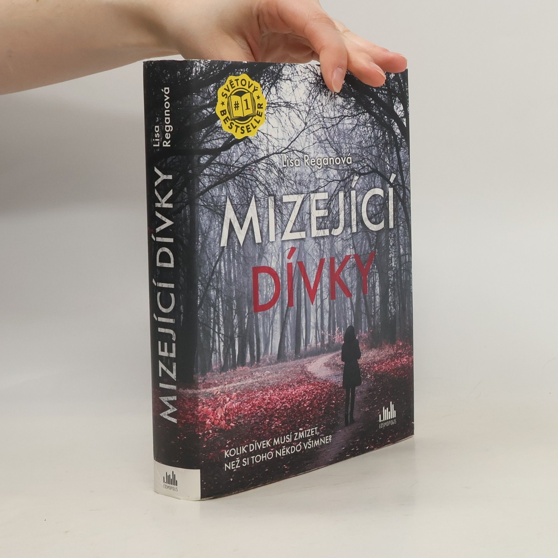 Lisa Regan Mizející dívky