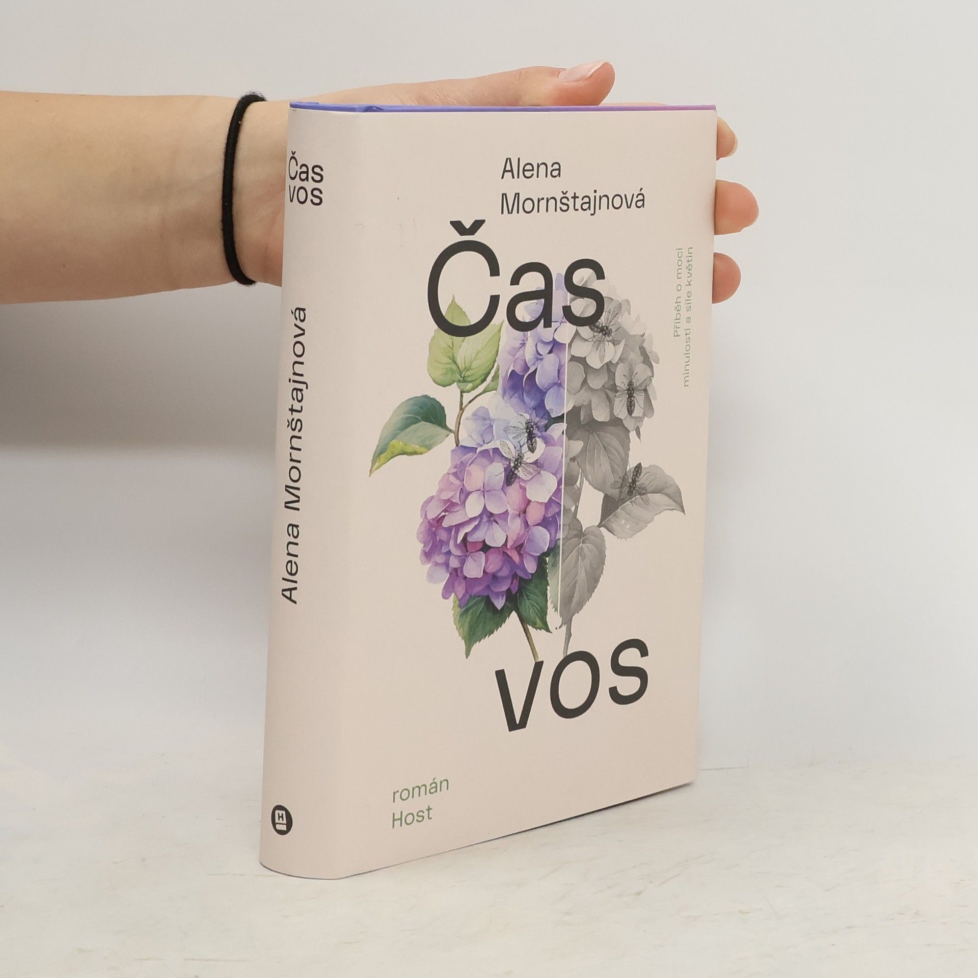 Alena Mornštajnová Čas vos