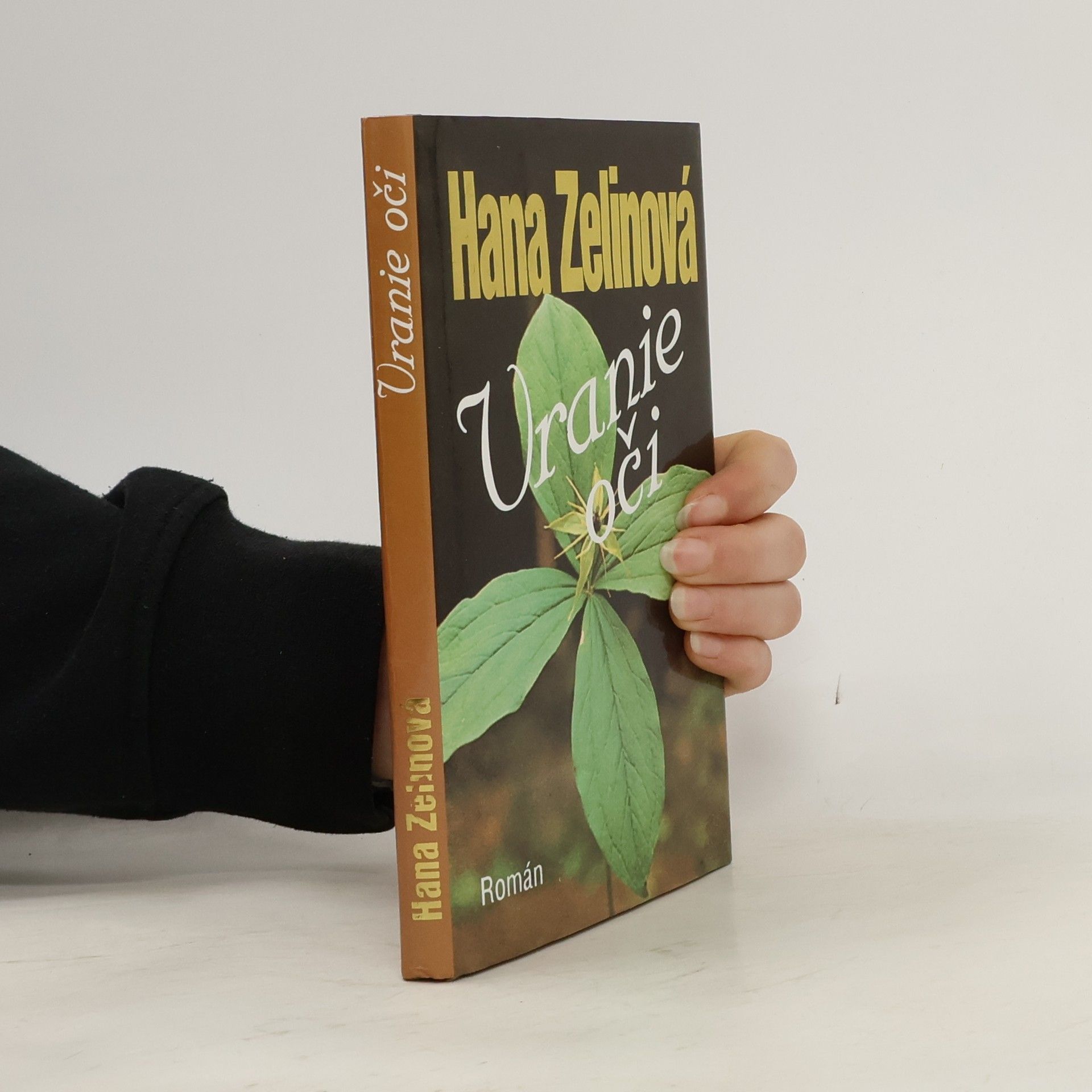 Hana Zelinová Vranie oči