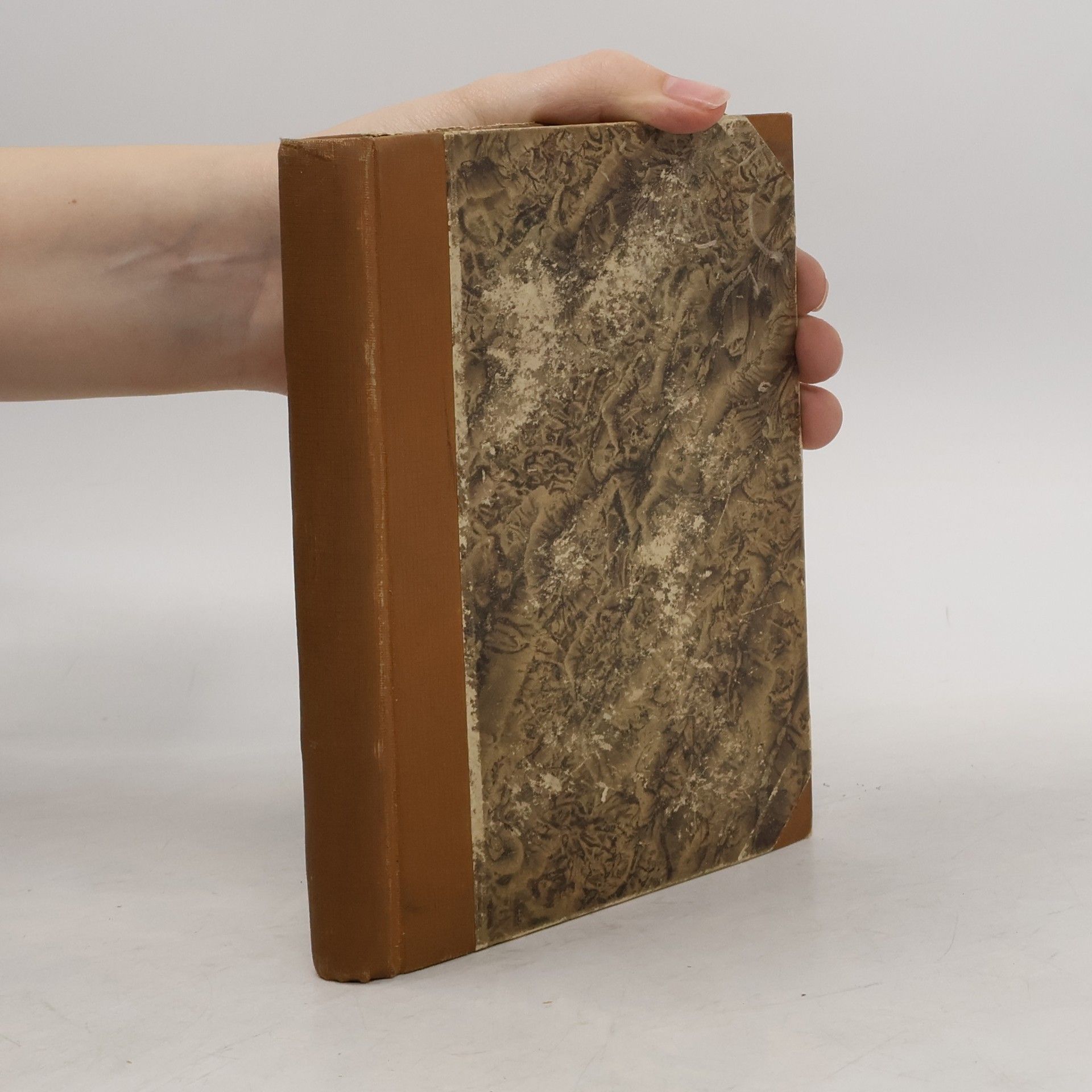 Alexandre Dumas starší Královnin kavalír I.