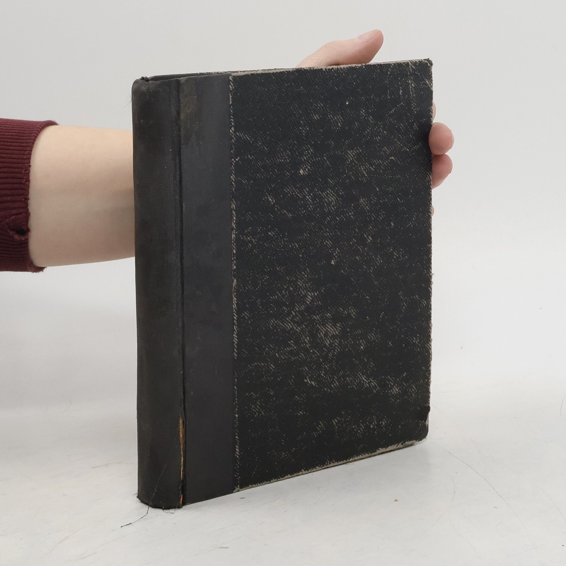 Edward Morgan Forster Cesta do Indie