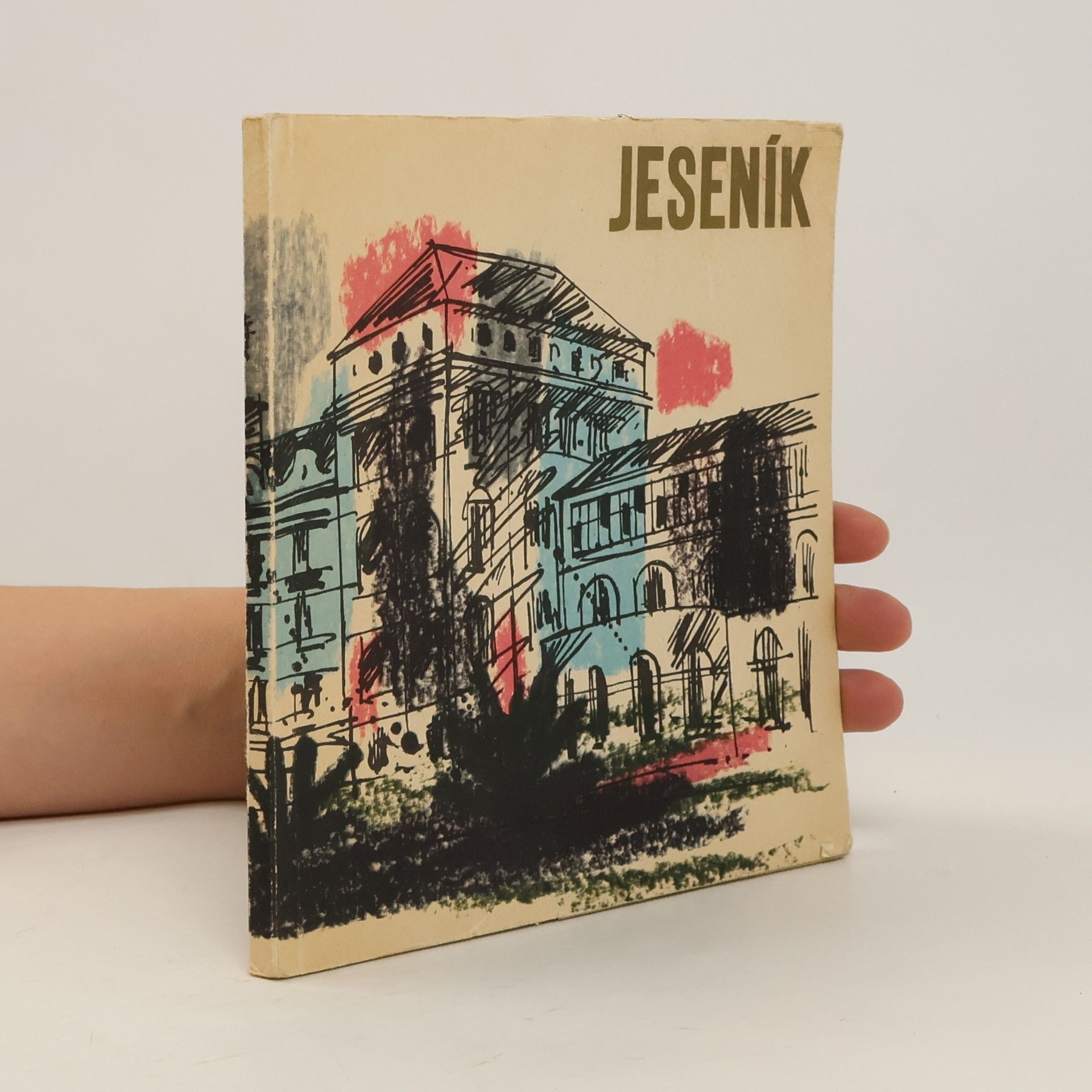 Kolektív autorov Československé státní lázně Jeseník