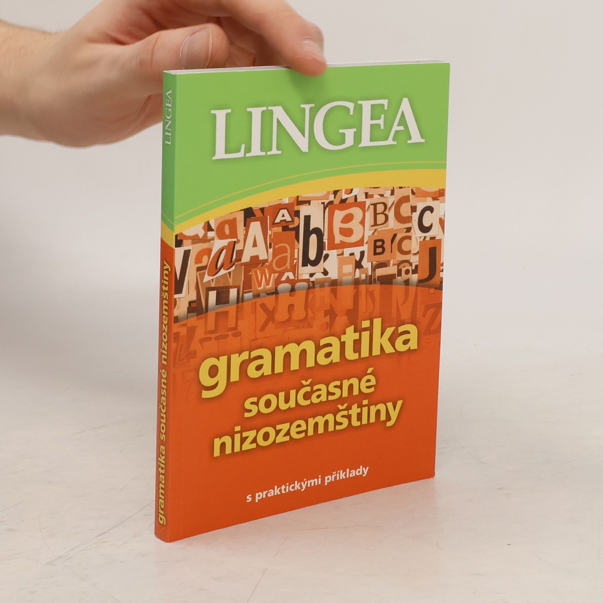 Autorenkollektiv Gramatika současné nizozemštiny