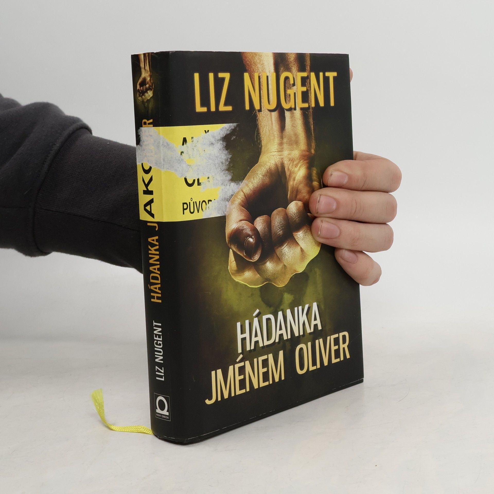 Liz Nugent Hádanka jménem Oliver