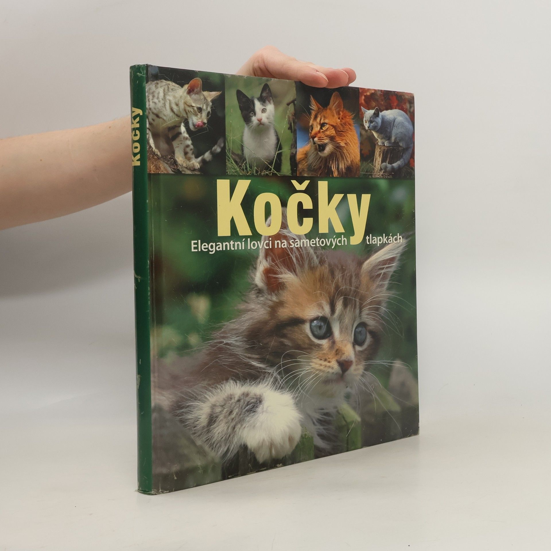 Birgit Adam Kočky. Elegantní lovci na sametových tlapkách