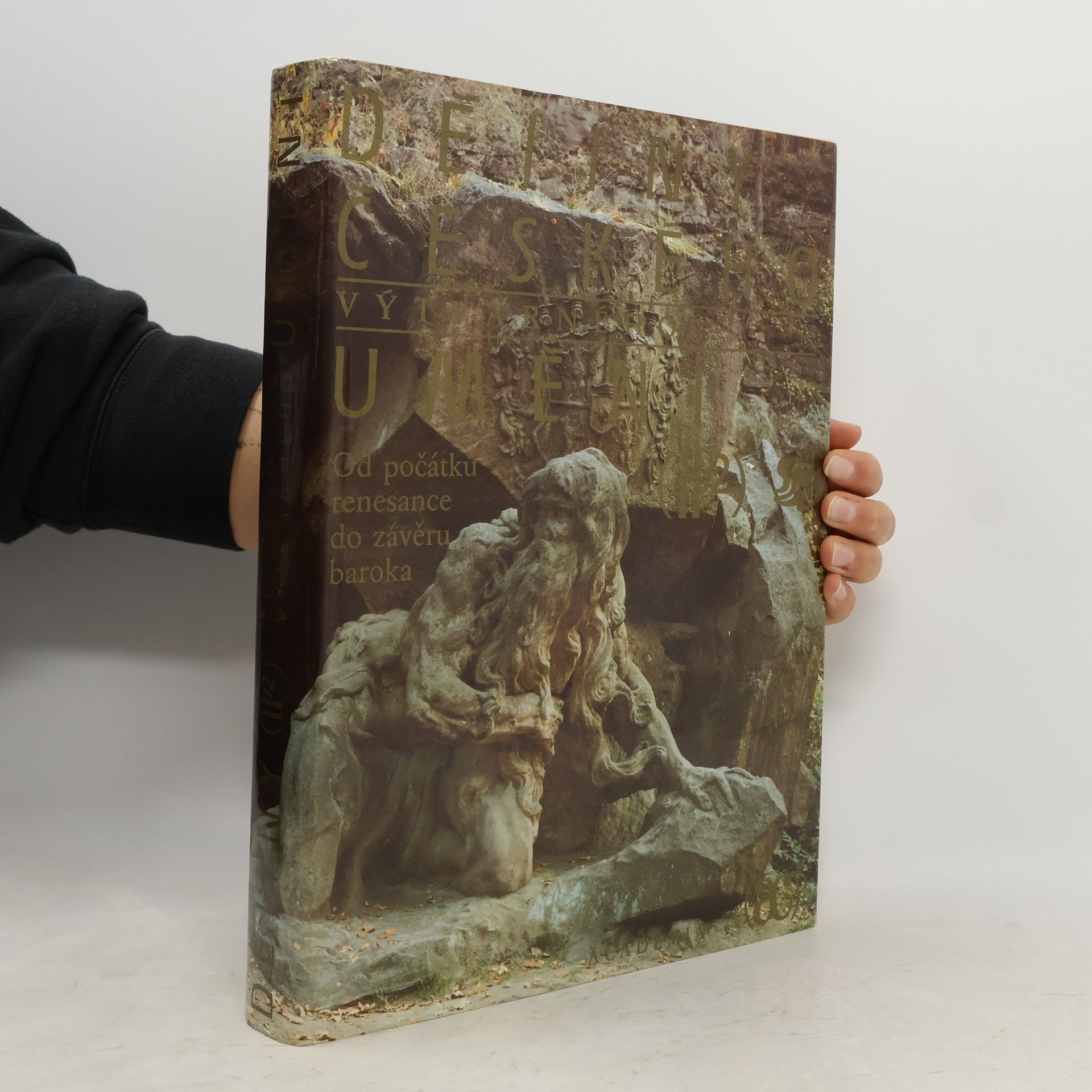 Jiří Dvorský Dějiny českého výtvarného umění II/2