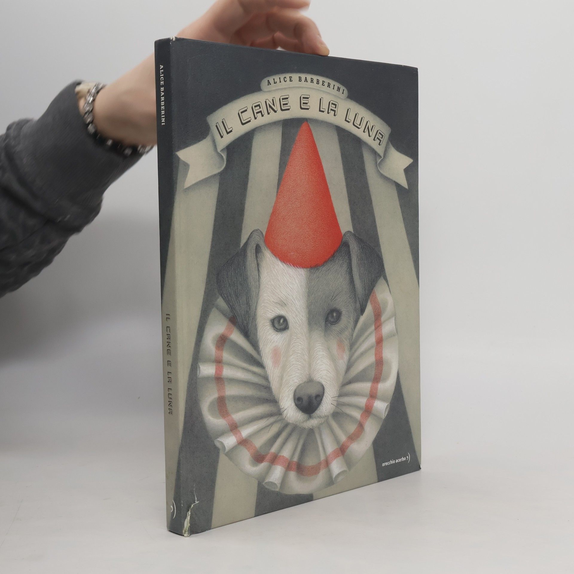 Alice Barberini Il cane e la luna