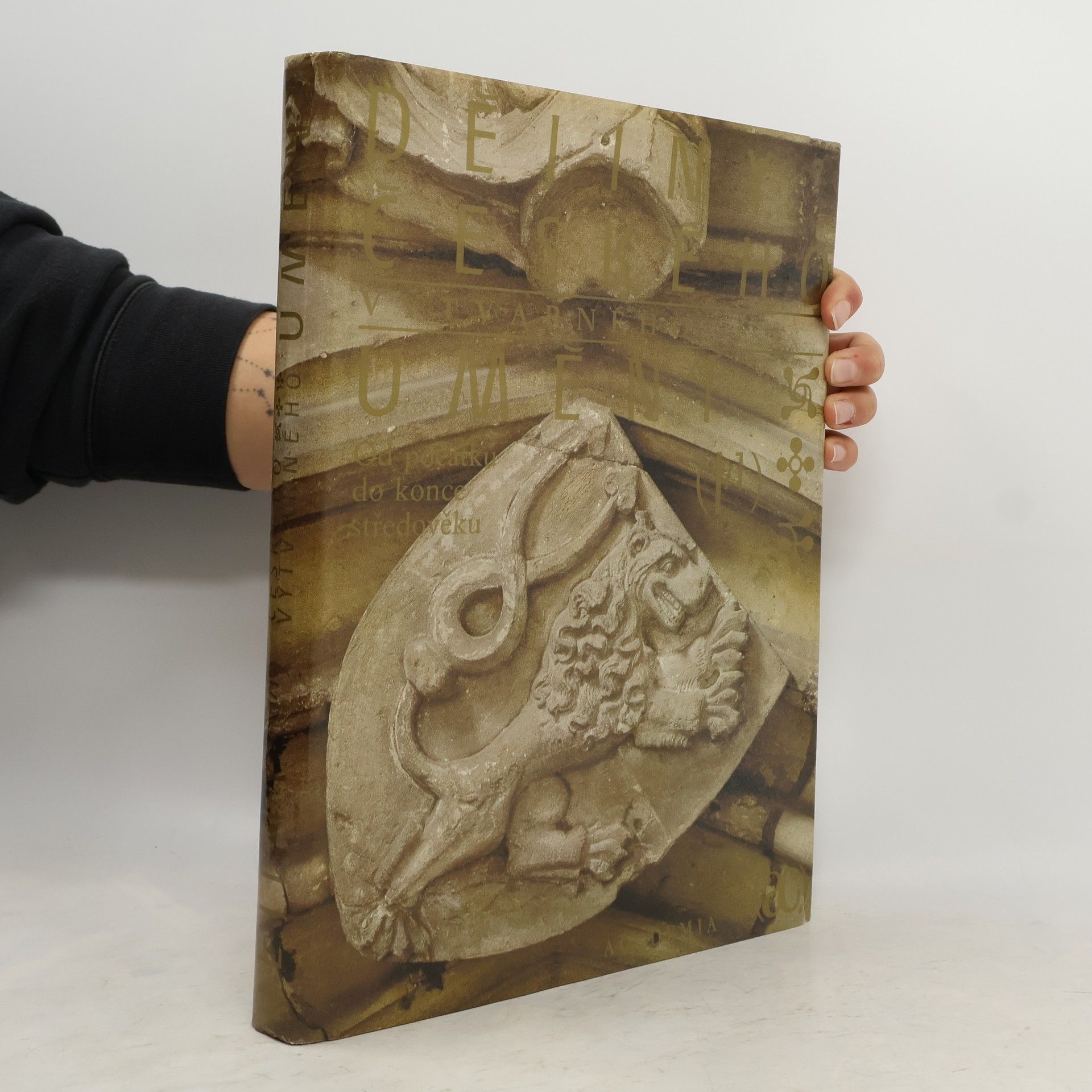 Autorenkollektiv Dějiny českého výtvarného umění I/1 - I/1