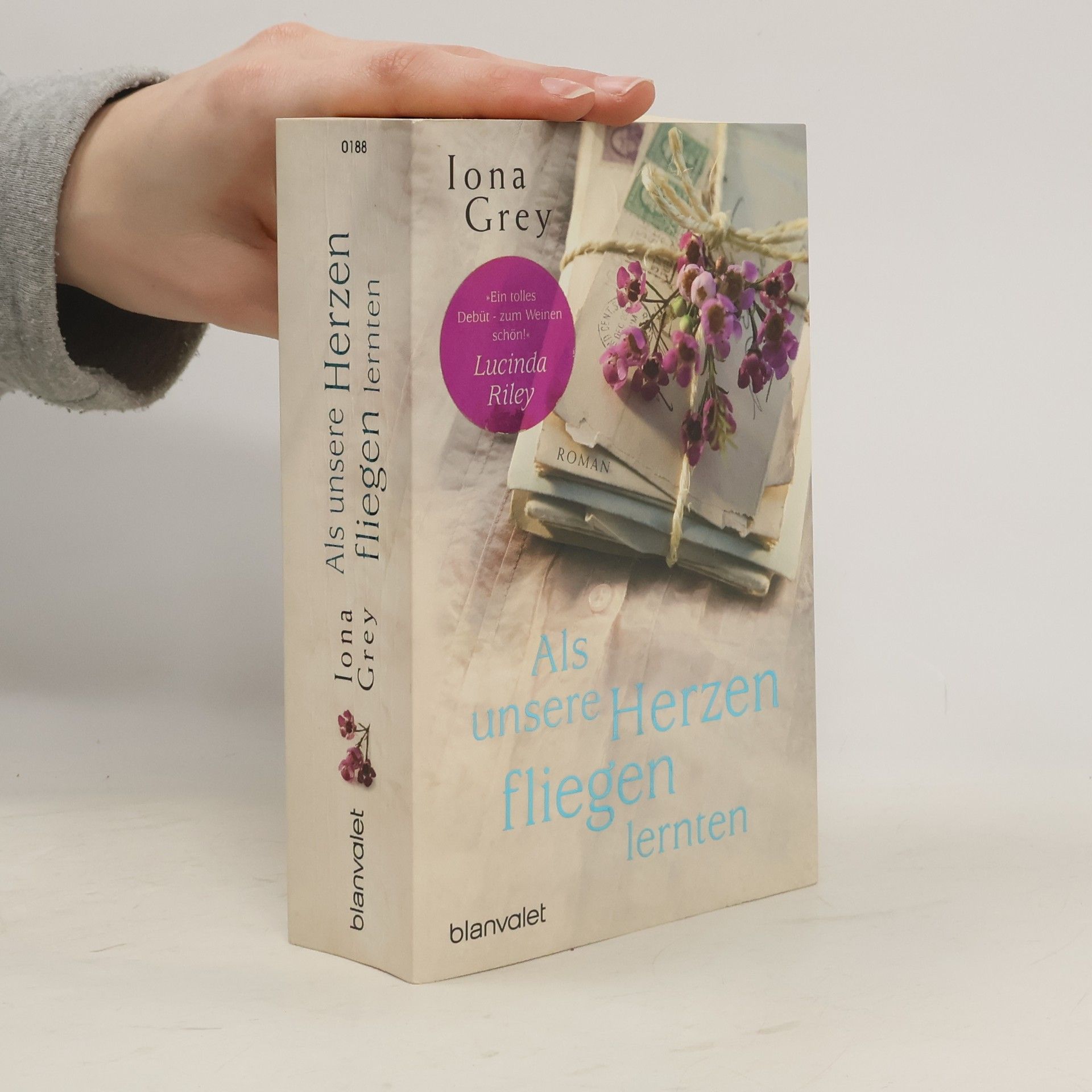 Iona Grey Als unsere Herzen fliegen lernten