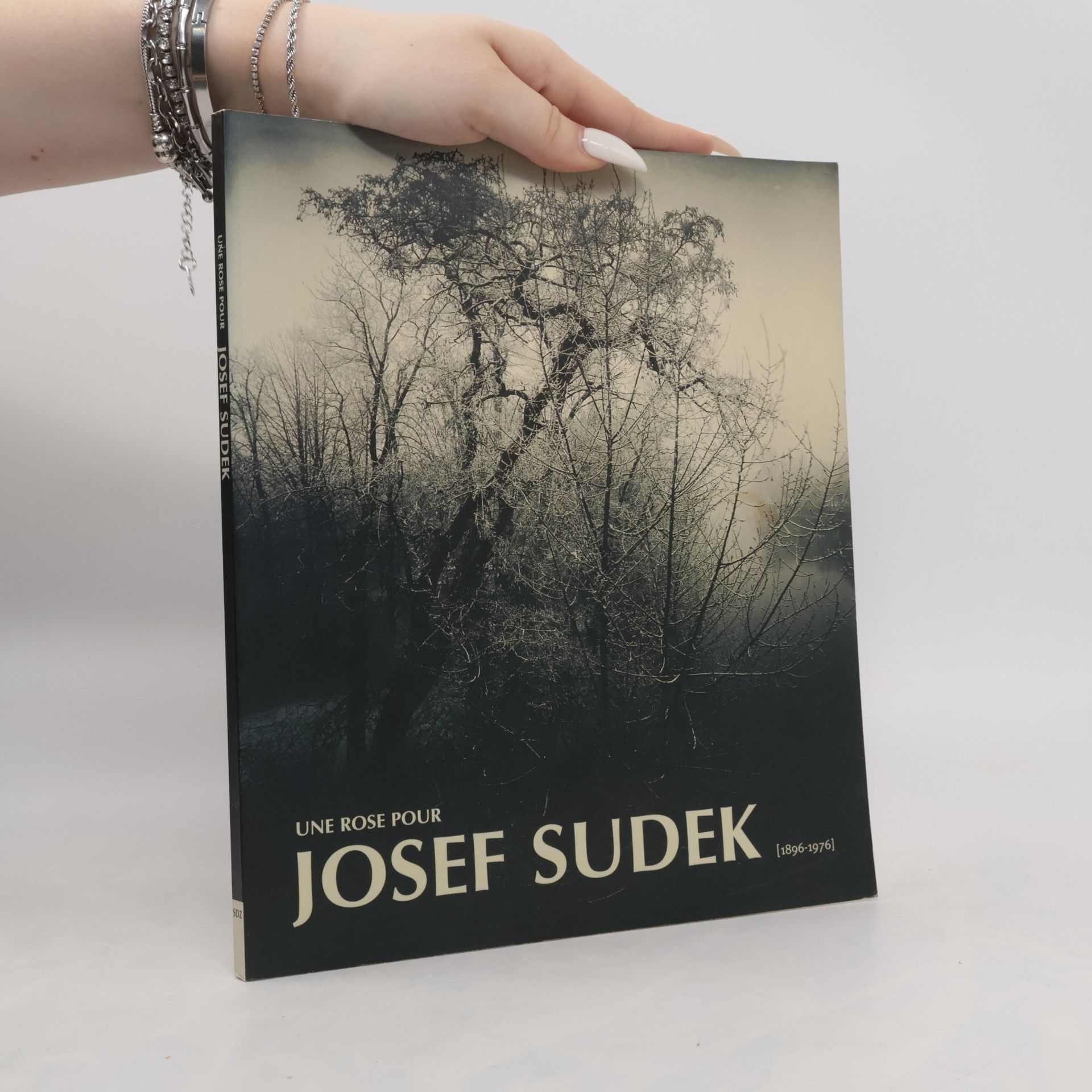 Une rose pour Josef Sudek 1896-1976