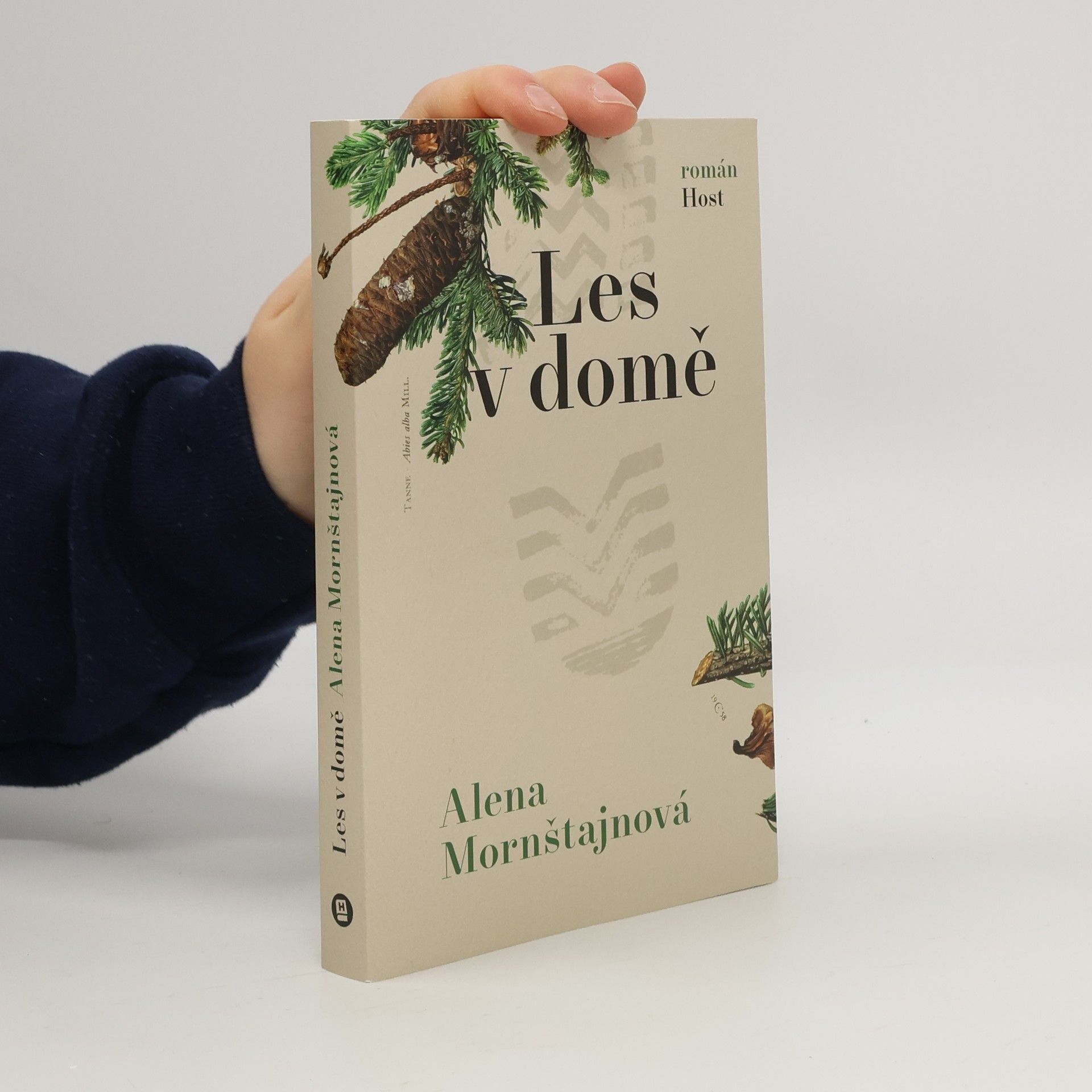 Alena Mornštajnová Les v domě