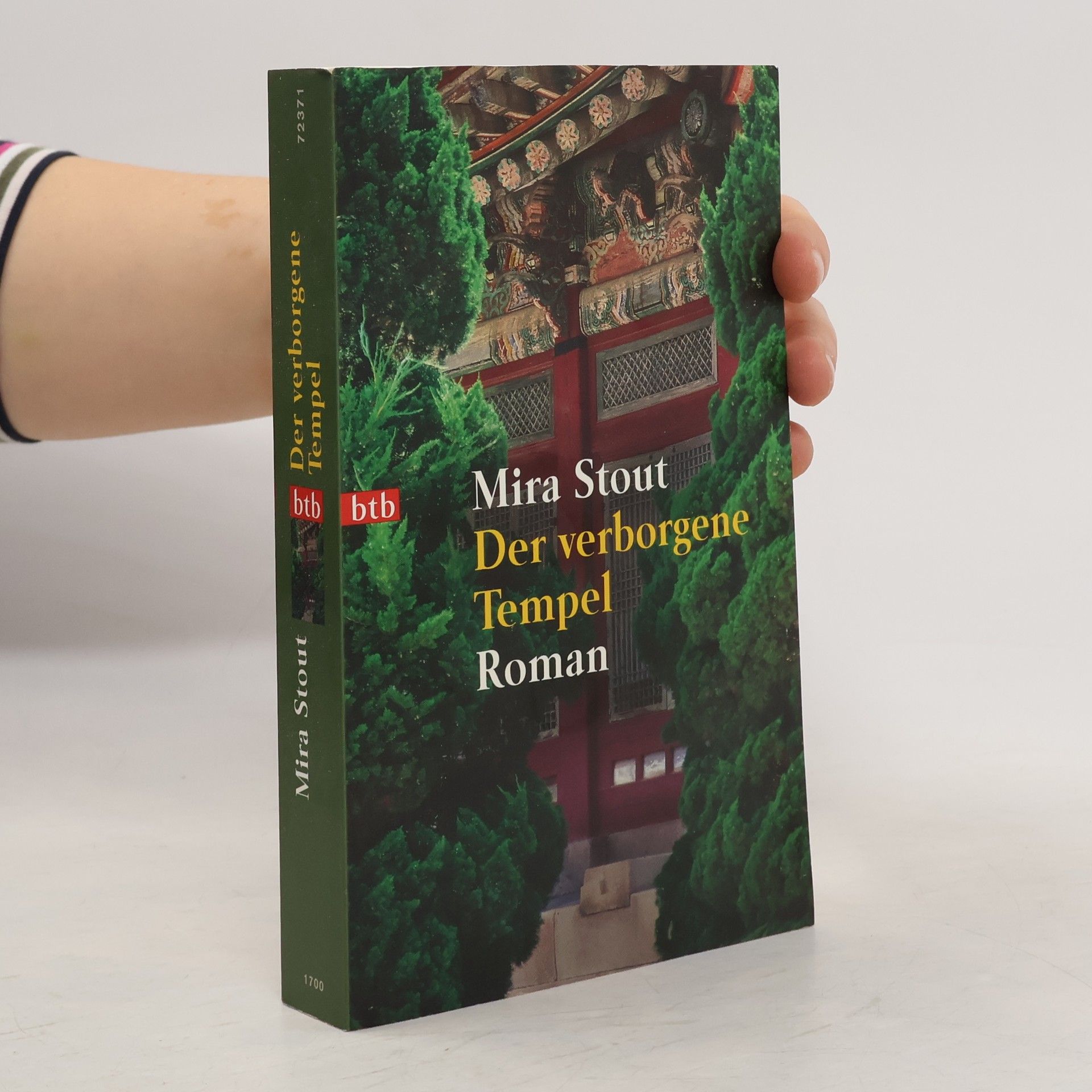 Mira Stout Der verborgene Tempel