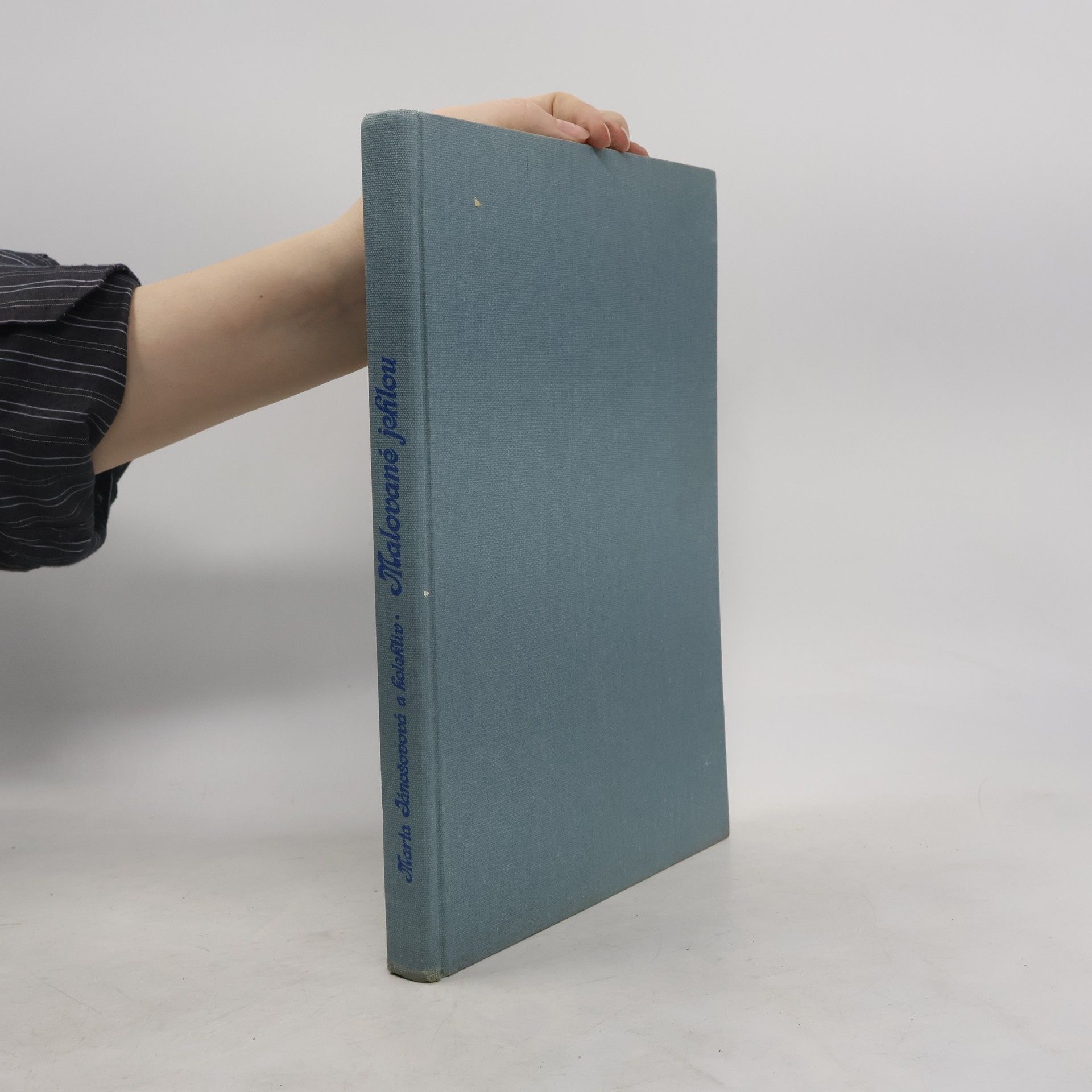 Marta Jánošovová Malované jehlou