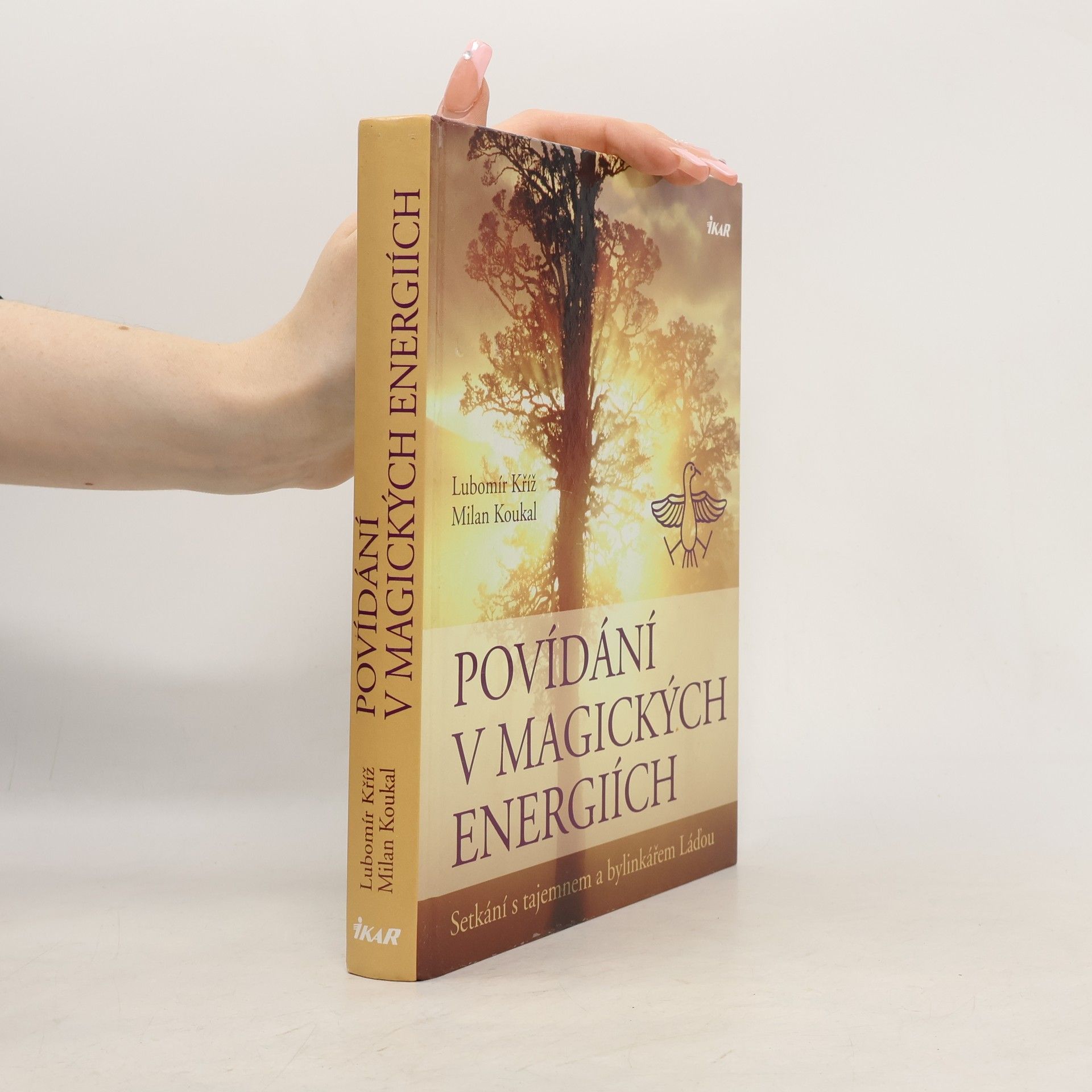 Lubomír Kříž Povídání v magických energiích