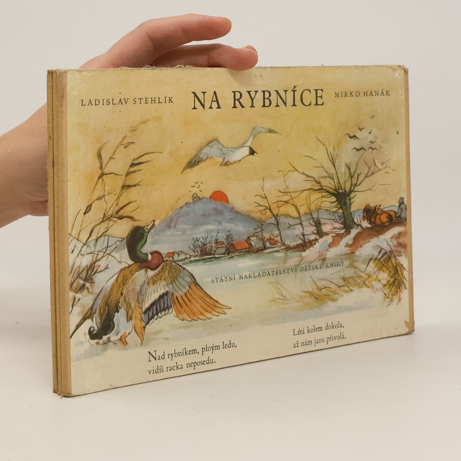 Ladislav Stehlík Na rybníce