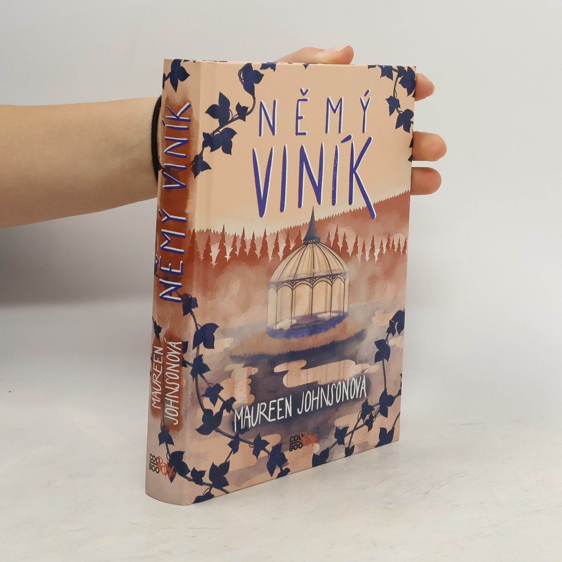 Maureen Johnson Němý viník