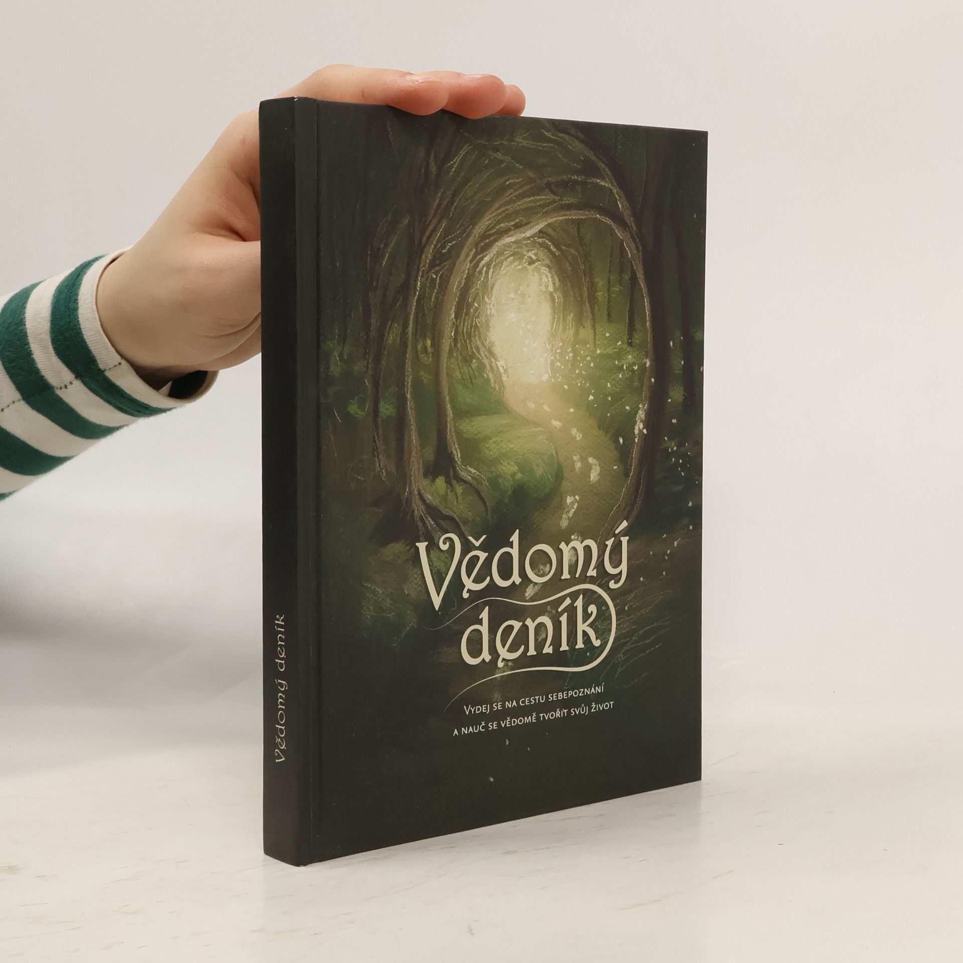 Autorenkollektiv Vědomý deník