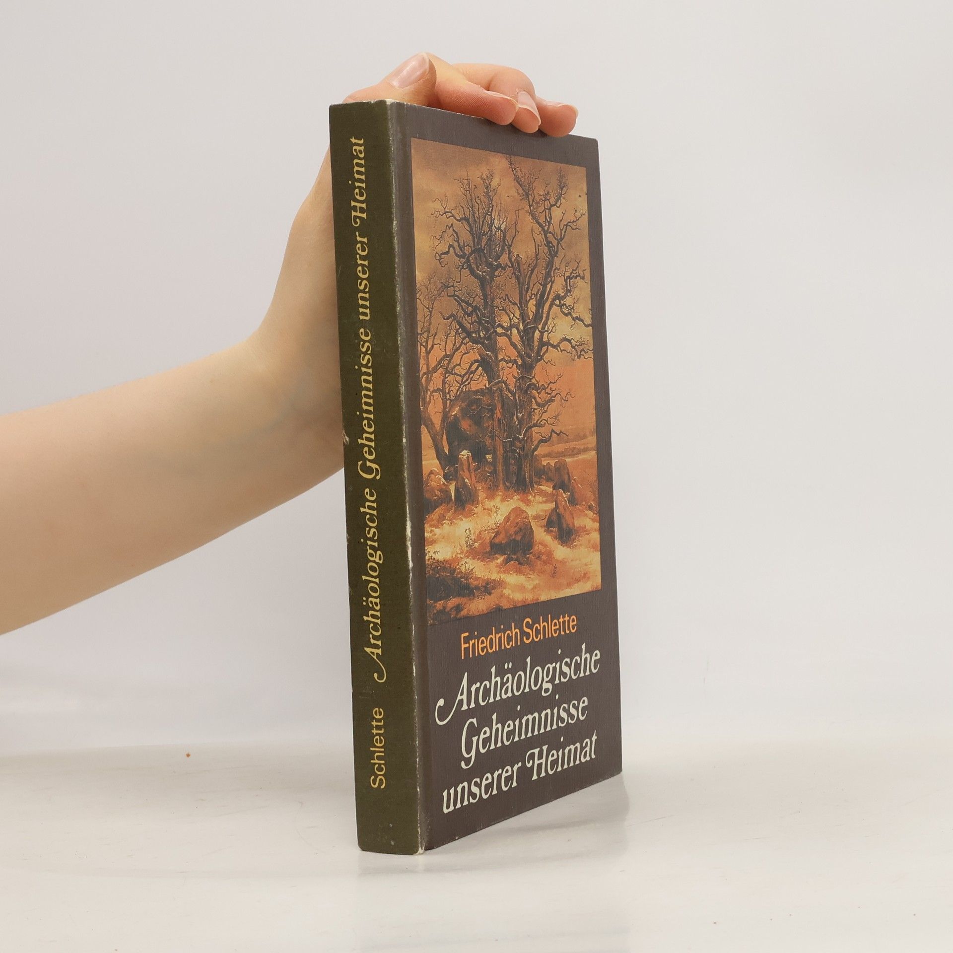 Archäologische Geheimnisse unserer Heimat