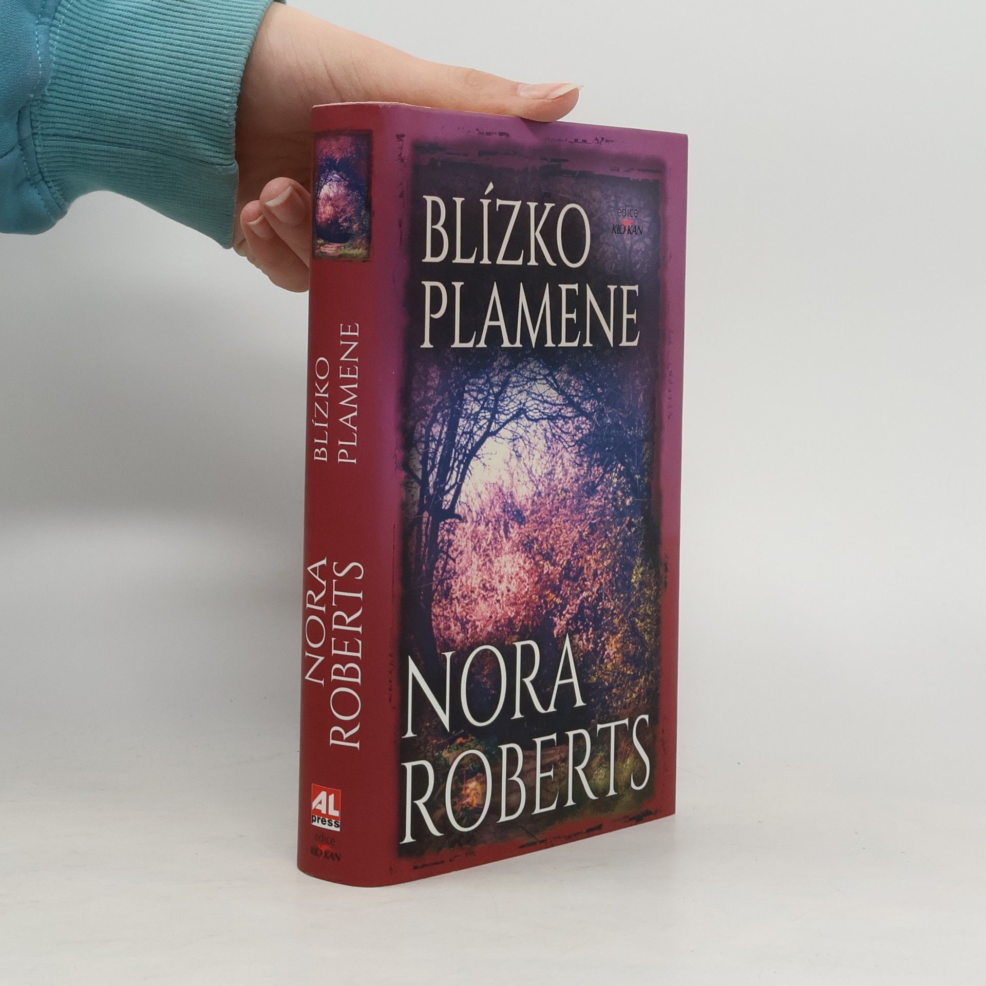 Nora Roberts Blízko plamene