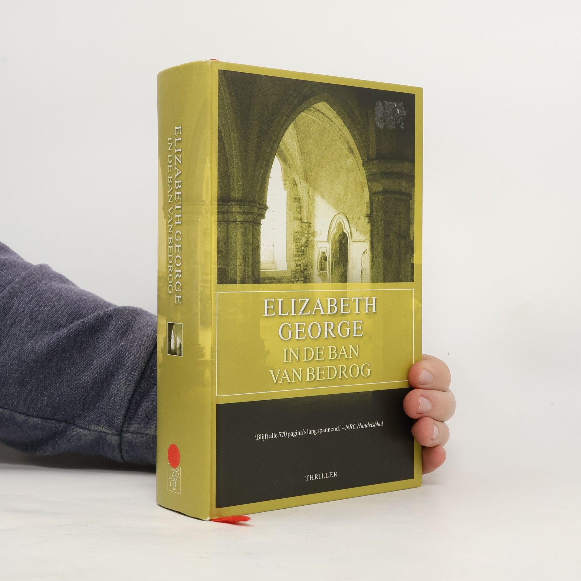 Susan Elizabeth George In de ban van bedrog