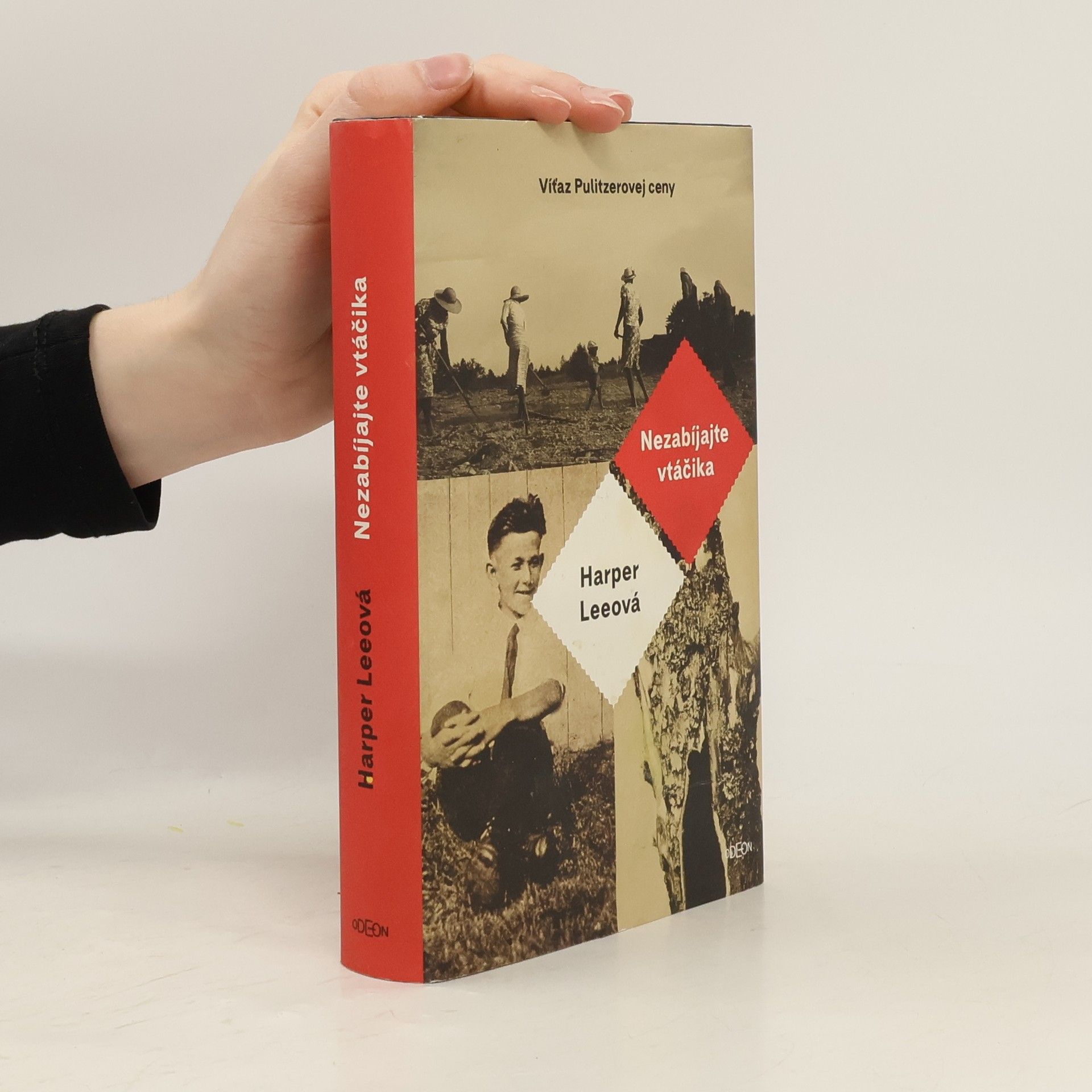 Harper Lee Nezabíjajte vtáčika