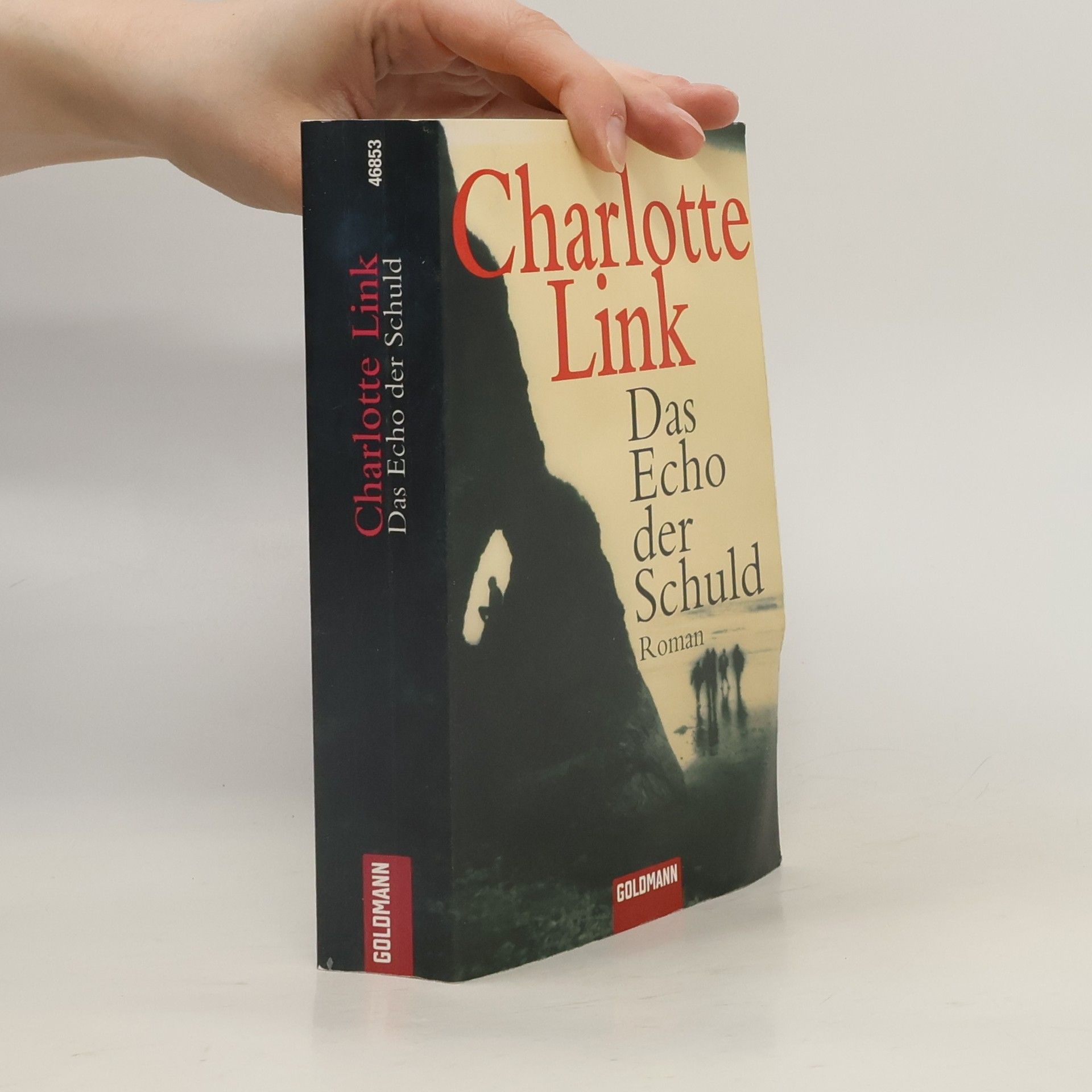 Charlotte Link Das Echo der Schuld