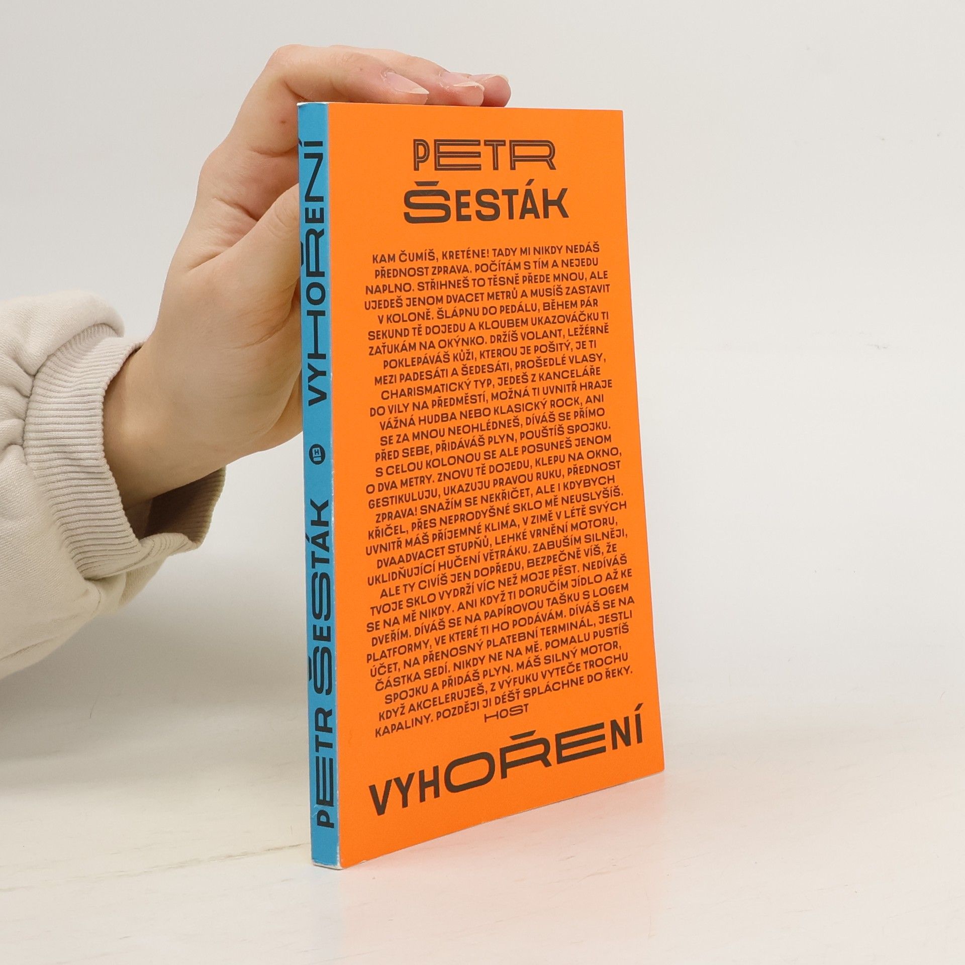 Petr Šesták Vyhoření