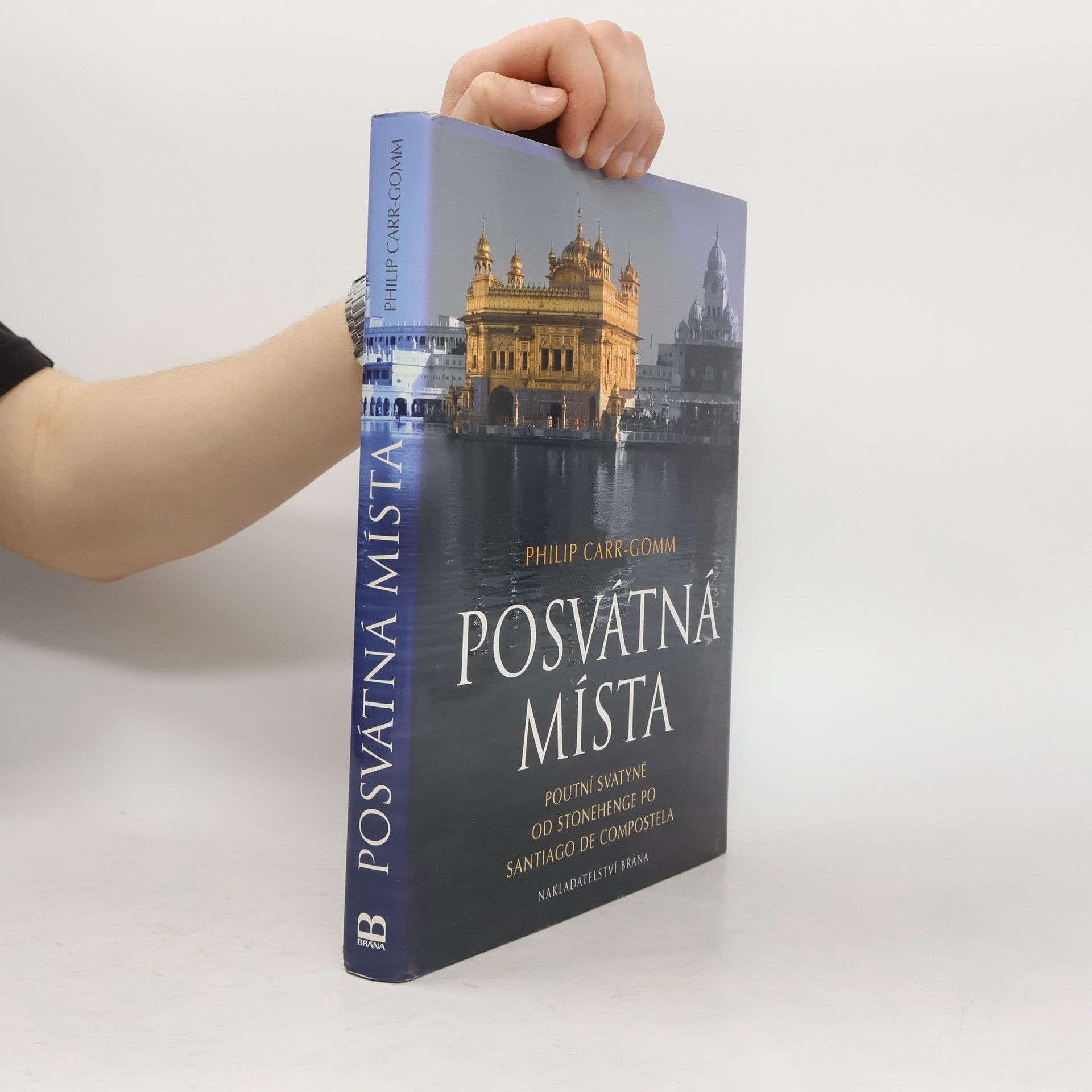 Philip Carr-Gomm Posvátná místa. Poutní svatyně od Stonehenge po Santiago de Compostela