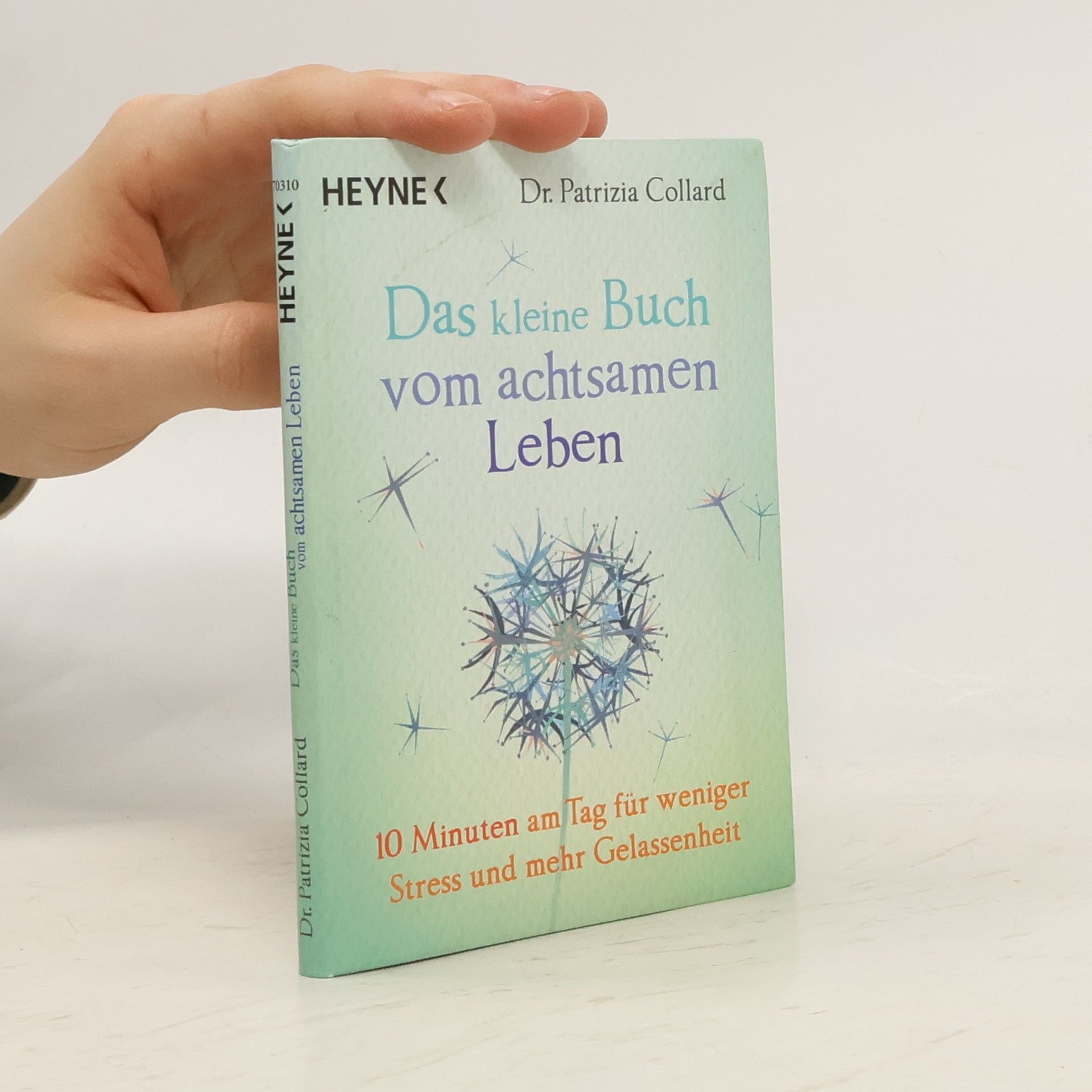 Patrizia Collard Das kleine Buch vom achtsamen Leben